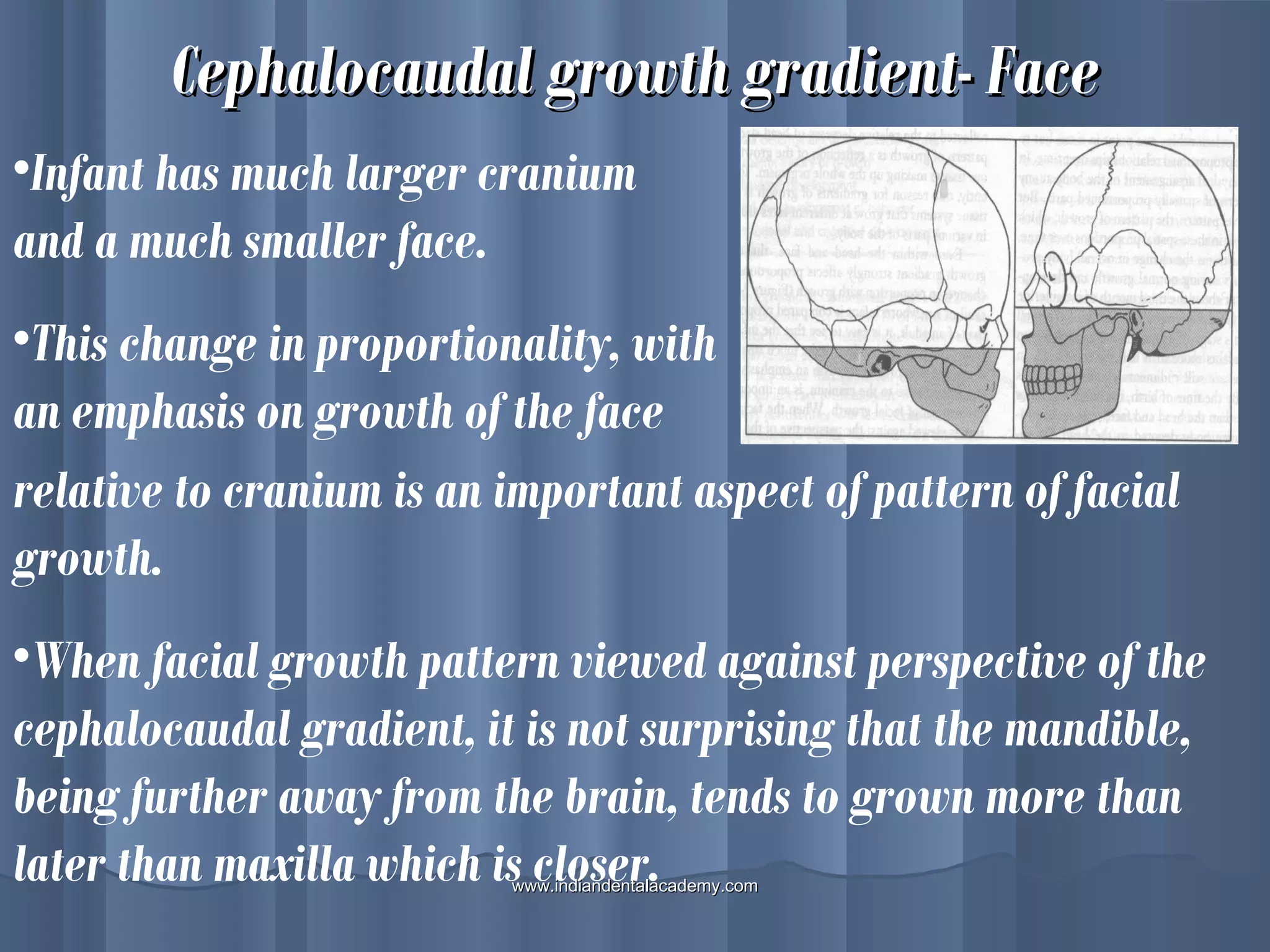Cephalocaudal growth gradient- FaceCephalocaudal growth gradient- Face
•Infant has much larger cranium
and a much smaller face.
•This change in proportionality, with
an emphasis on growth of the face
relative to cranium is an important aspect of pattern of facial
growth.
•When facial growth pattern viewed against perspective of the
cephalocaudal gradient, it is not surprising that the mandible,
being further away from the brain, tends to grown more than
later than maxilla which is closer.www.indiandentalacademy.comwww.indiandentalacademy.com
 