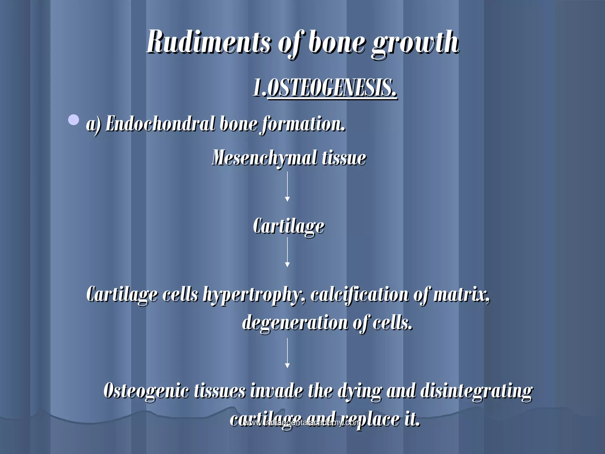 Rudiments of bone growthRudiments of bone growth
1.1.OSTEOGENESIS.OSTEOGENESIS.
a) Endochondral bone formation.a) Endochondral bone formation.
Mesenchymal tissueMesenchymal tissue
CartilageCartilage
Cartilage cells hypertrophy, calcification of matrix,Cartilage cells hypertrophy, calcification of matrix,
degeneration of cells.degeneration of cells.
Osteogenic tissues invade the dying and disintegratingOsteogenic tissues invade the dying and disintegrating
cartilage and replace it.cartilage and replace it.www.indiandentalacademy.comwww.indiandentalacademy.com
 