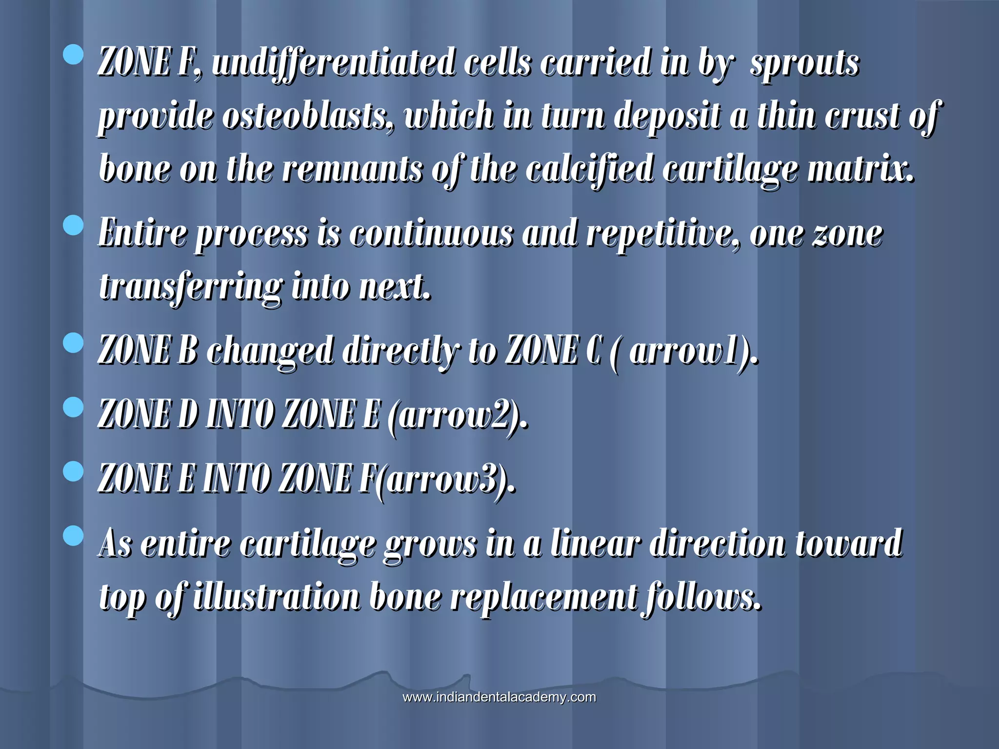 ZONE F, undifferentiated cells carried in by sproutsZONE F, undifferentiated cells carried in by sprouts
provide osteoblasts, which in turn deposit a thin crust ofprovide osteoblasts, which in turn deposit a thin crust of
bone on the remnants of the calcified cartilage matrix.bone on the remnants of the calcified cartilage matrix.
Entire process is continuous and repetitive, one zoneEntire process is continuous and repetitive, one zone
transferring into next.transferring into next.
ZONE B changed directly to ZONE C ( arrow1).ZONE B changed directly to ZONE C ( arrow1).
ZONE D INTO ZONE E (arrow2).ZONE D INTO ZONE E (arrow2).
ZONE E INTO ZONE F(arrow3).ZONE E INTO ZONE F(arrow3).
As entire cartilage grows in a linear direction towardAs entire cartilage grows in a linear direction toward
top of illustration bone replacement follows.top of illustration bone replacement follows.
www.indiandentalacademy.comwww.indiandentalacademy.com
 