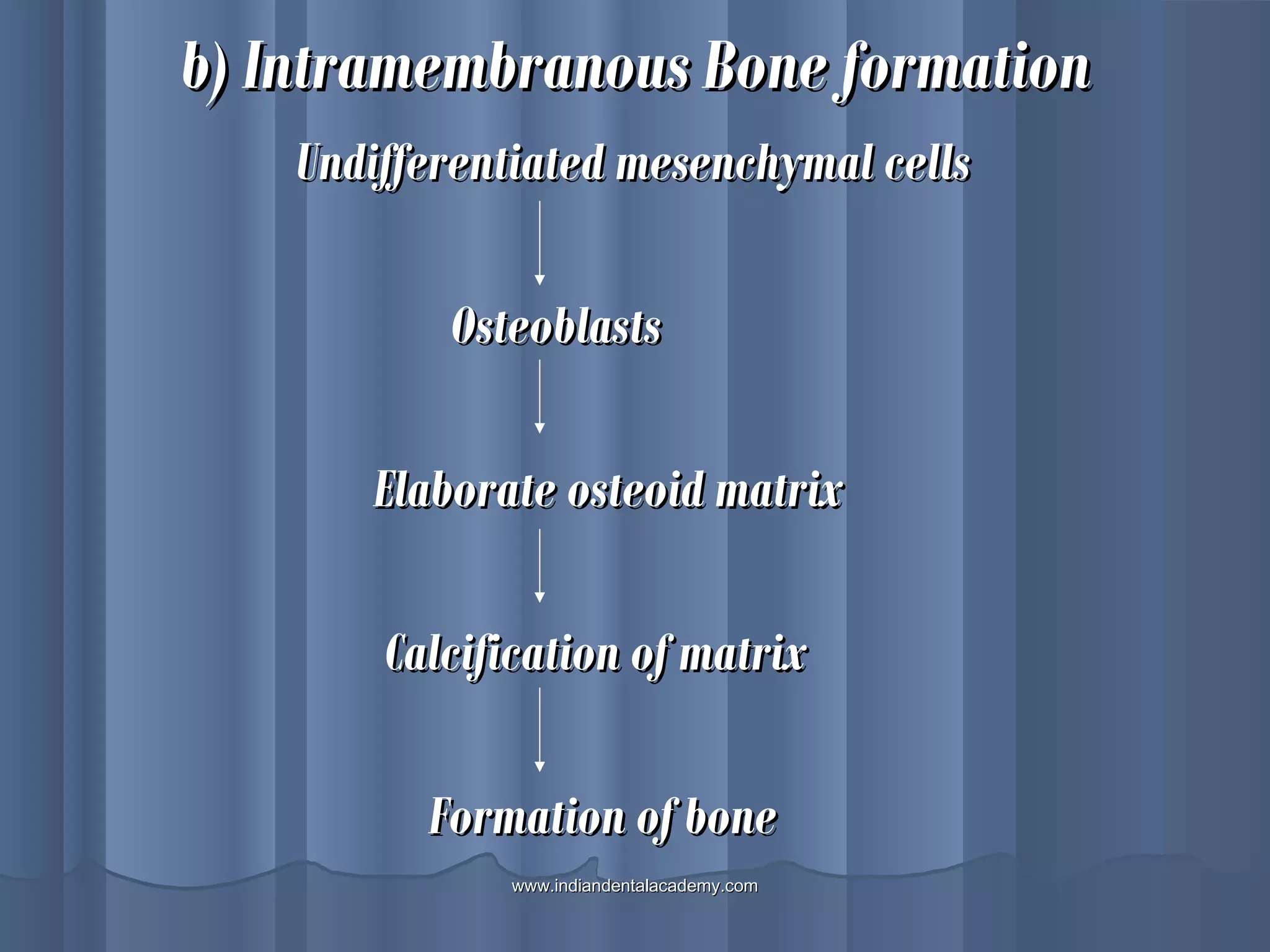 b) Intramembranous Bone formationb) Intramembranous Bone formation
Undifferentiated mesenchymal cellsUndifferentiated mesenchymal cells
OsteoblastsOsteoblasts
Elaborate osteoid matrixElaborate osteoid matrix
Calcification of matrixCalcification of matrix
Formation of boneFormation of bone
www.indiandentalacademy.comwww.indiandentalacademy.com
 