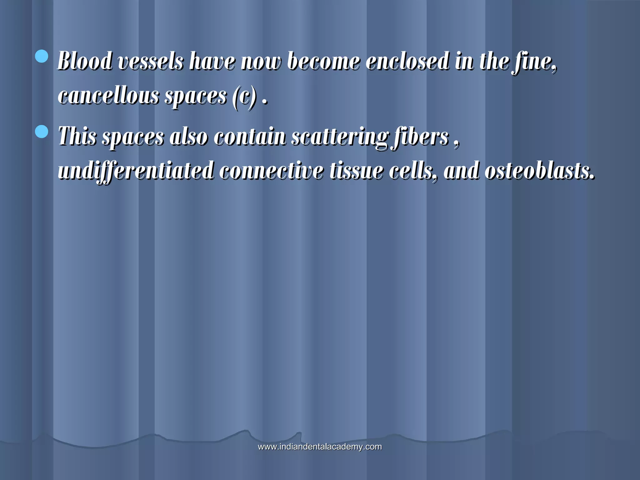Blood vessels have now become enclosed in the fine,Blood vessels have now become enclosed in the fine,
cancellous spaces (c) .cancellous spaces (c) .
This spaces also contain scattering fibers ,This spaces also contain scattering fibers ,
undifferentiated connective tissue cells, and osteoblasts.undifferentiated connective tissue cells, and osteoblasts.
www.indiandentalacademy.comwww.indiandentalacademy.com
 