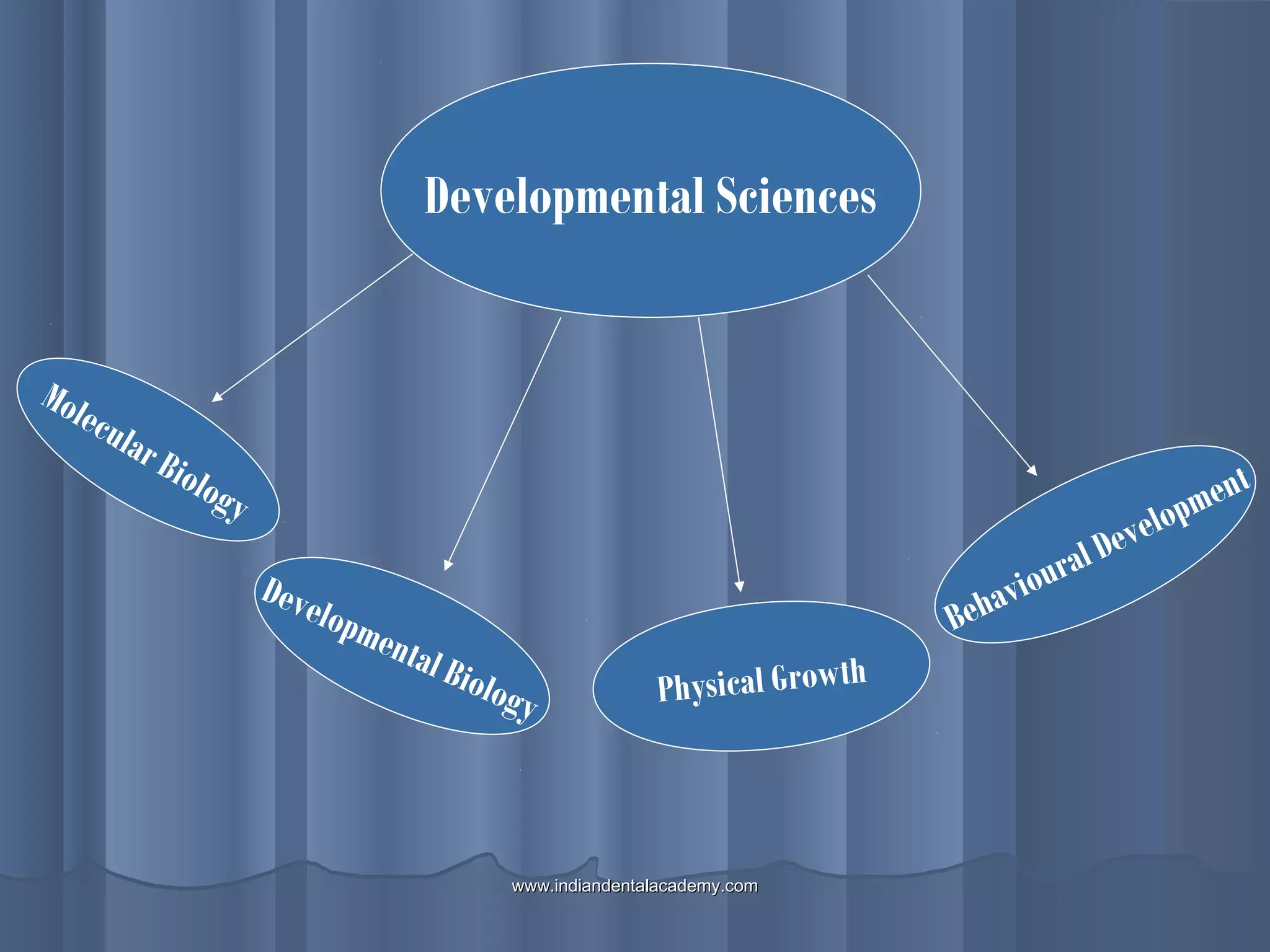 Molecular Biology
Developmental Sciences
Developmental Biology
Behavioural Development
Physical Growth
www.indiandentalacademy.comwww.indiandentalacademy.com
 