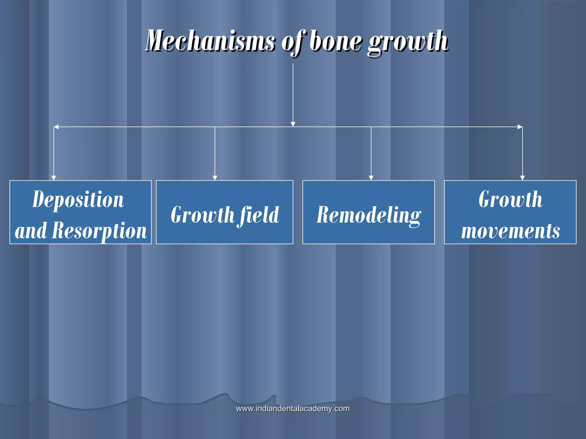 Mechanisms of bone growthMechanisms of bone growth
Deposition
and Resorption
Growth field Remodeling
Growth
movements
www.indiandentalacademy.comwww.indiandentalacademy.com
 