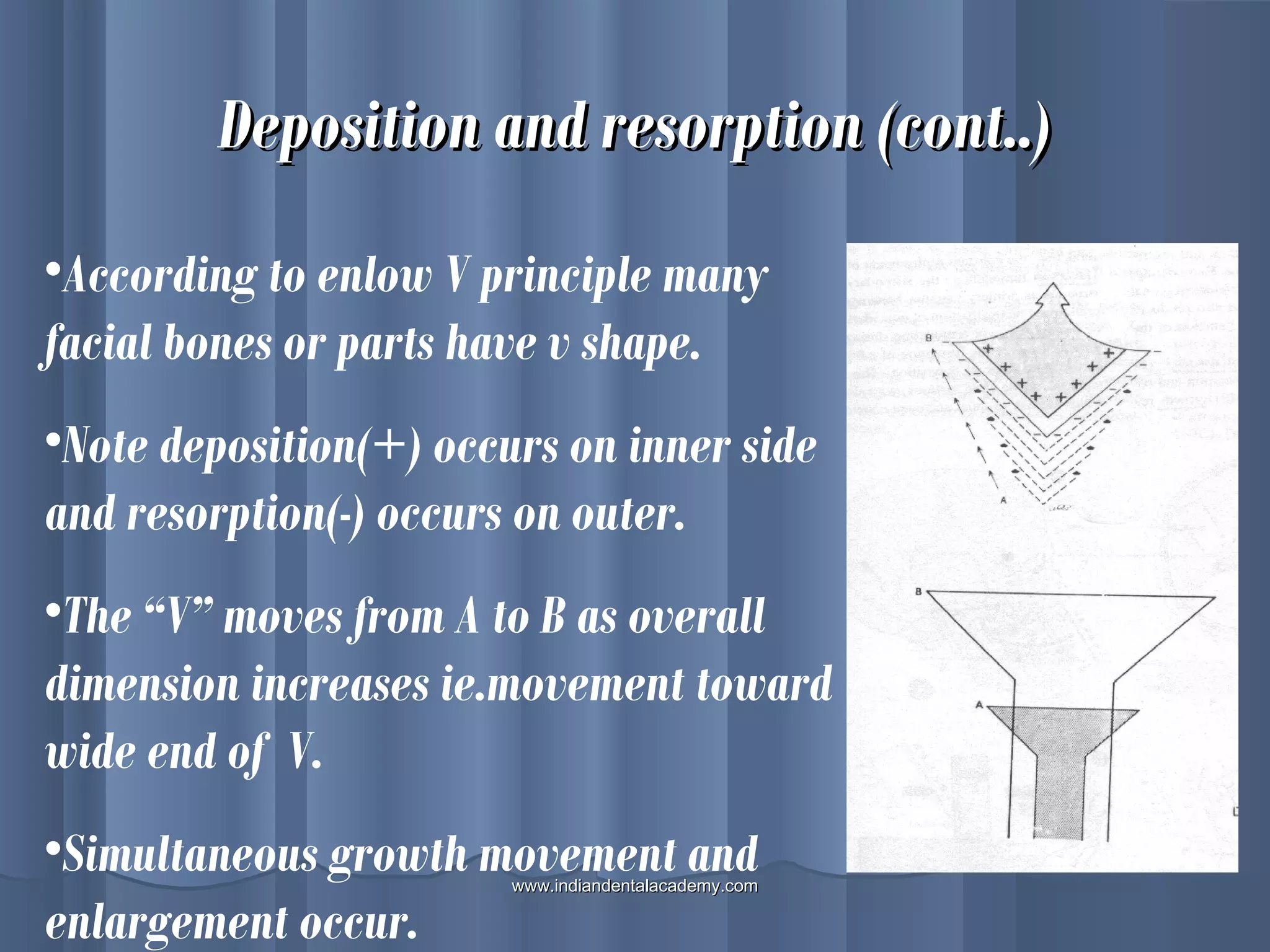 Deposition and resorption (cont..)Deposition and resorption (cont..)
•According to enlow V principle many
facial bones or parts have v shape.
•Note deposition(+) occurs on inner side
and resorption(-) occurs on outer.
•The “V” moves from A to B as overall
dimension increases ie.movement toward
wide end of V.
•Simultaneous growth movement and
enlargement occur.
www.indiandentalacademy.comwww.indiandentalacademy.com
 