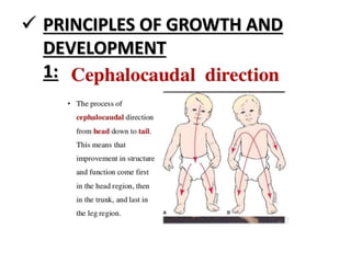  PRINCIPLES OF GROWTH AND
DEVELOPMENT
1:
 