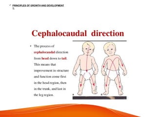  PRINCIPLES OF GROWTH AND DEVELOPMENT
1:
 