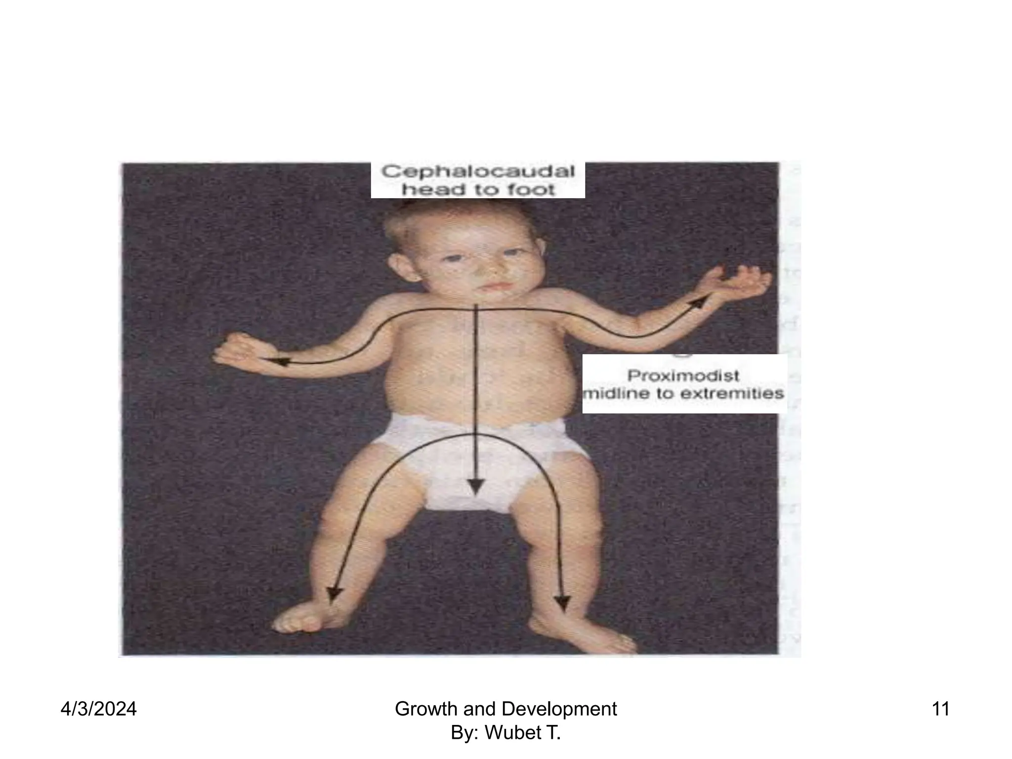 4/3/2024 11
Growth and Development
By: Wubet T.
 