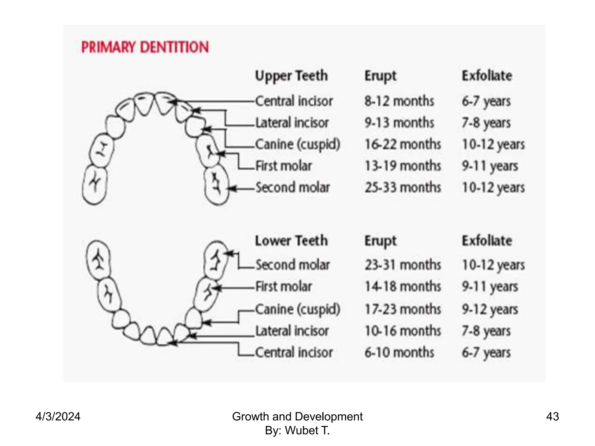4/3/2024 43
Growth and Development
By: Wubet T.
 