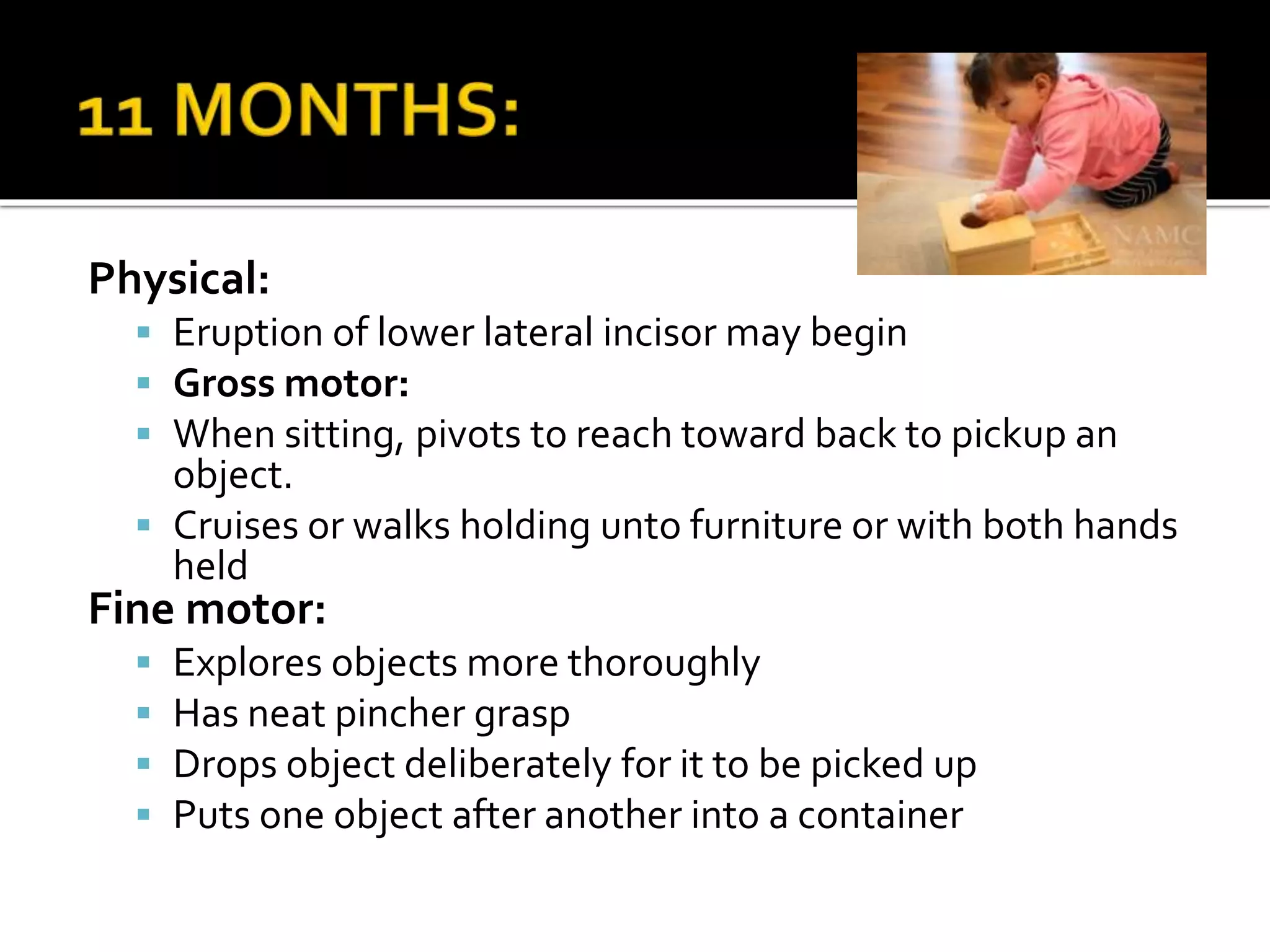 Physical:
 Eruption of lower lateral incisor may begin
 Gross motor:
 When sitting, pivots to reach toward back to pickup an
object.
 Cruises or walks holding unto furniture or with both hands
held
Fine motor:
 Explores objects more thoroughly
 Has neat pincher grasp
 Drops object deliberately for it to be picked up
 Puts one object after another into a container
 