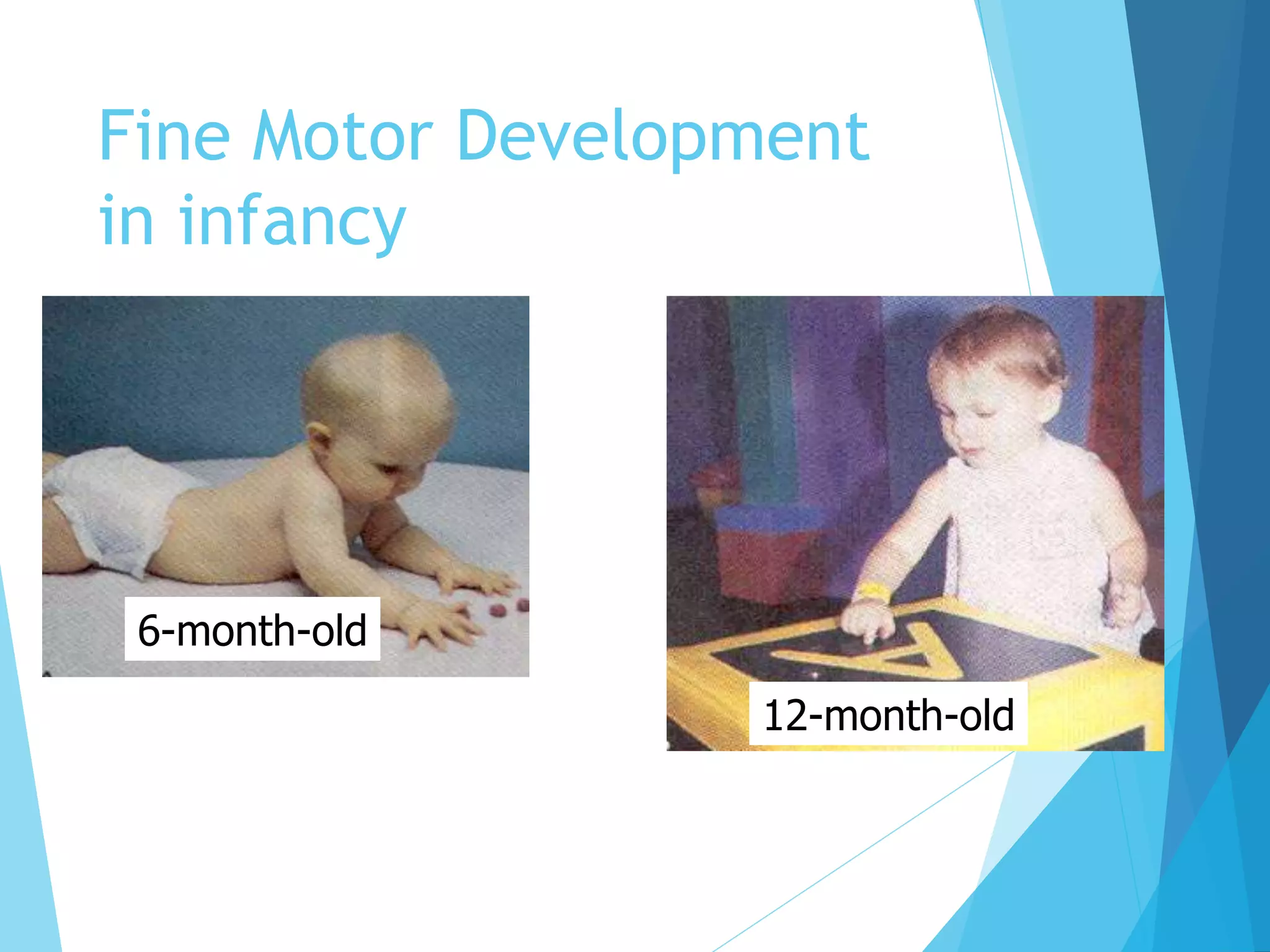 Fine Motor Development
in infancy
6-month-old
12-month-old
 