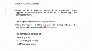 Prominent Development GROWTH AND DEVELOPMENT OF CRANIAL AND FACIAL STRUCTURES.pptx