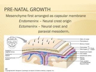 GROWTH AND DEVELOPMENT OF CRANIAL VAULT ,cranial base & maxilla.pptx