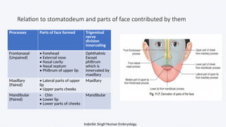 Growth_and_development_of_Face in human body | PPTX
