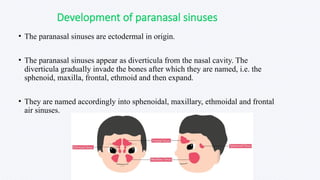Frontal Sinus Development Growth_and_development_of_Face in human body | PPTX