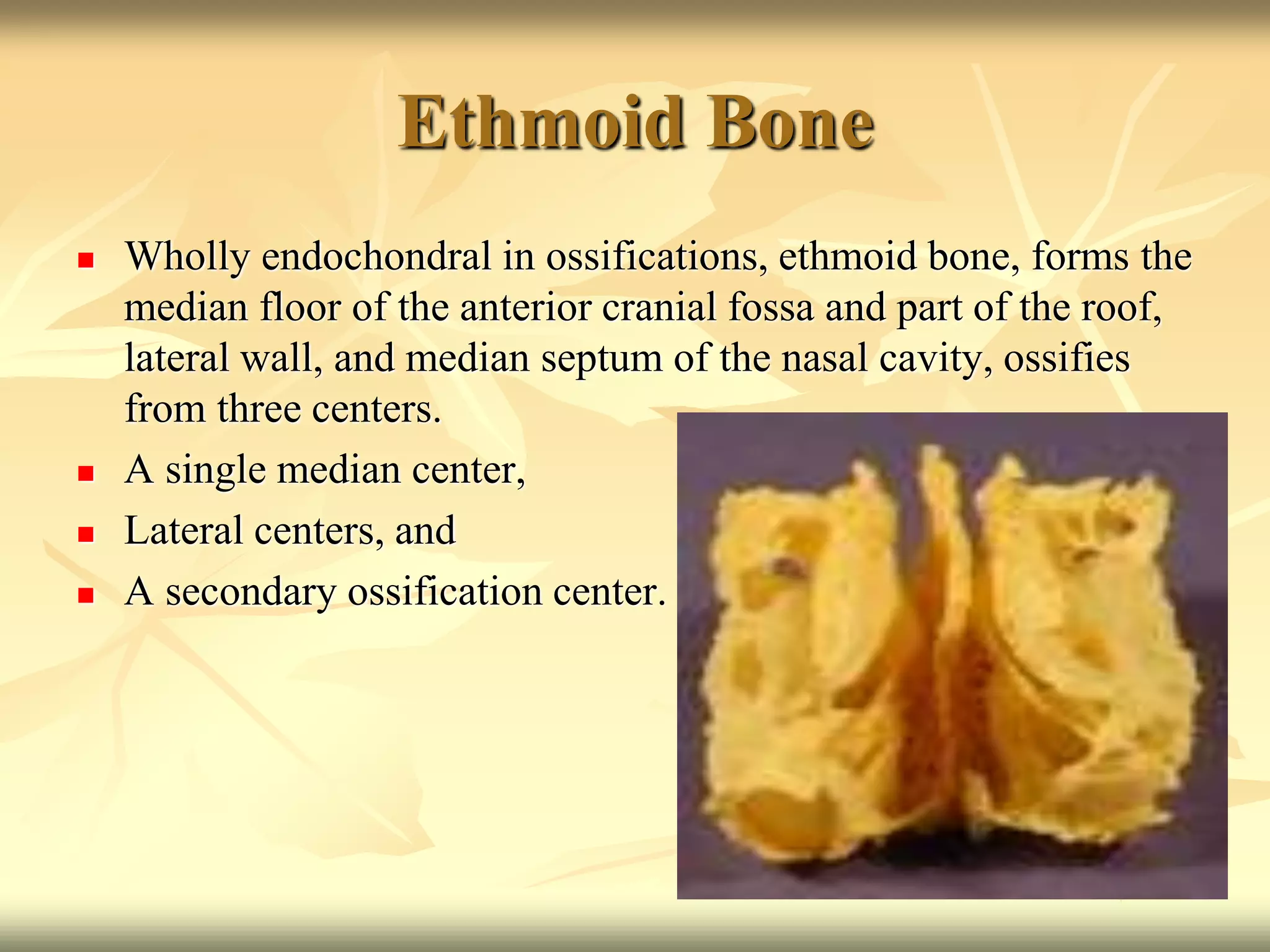 Ethmoid Bone
 Wholly endochondral in ossifications, ethmoid bone, forms the
median floor of the anterior cranial fossa and part of the roof,
lateral wall, and median septum of the nasal cavity, ossifies
from three centers.
 A single median center,
 Lateral centers, and
 A secondary ossification center.
 