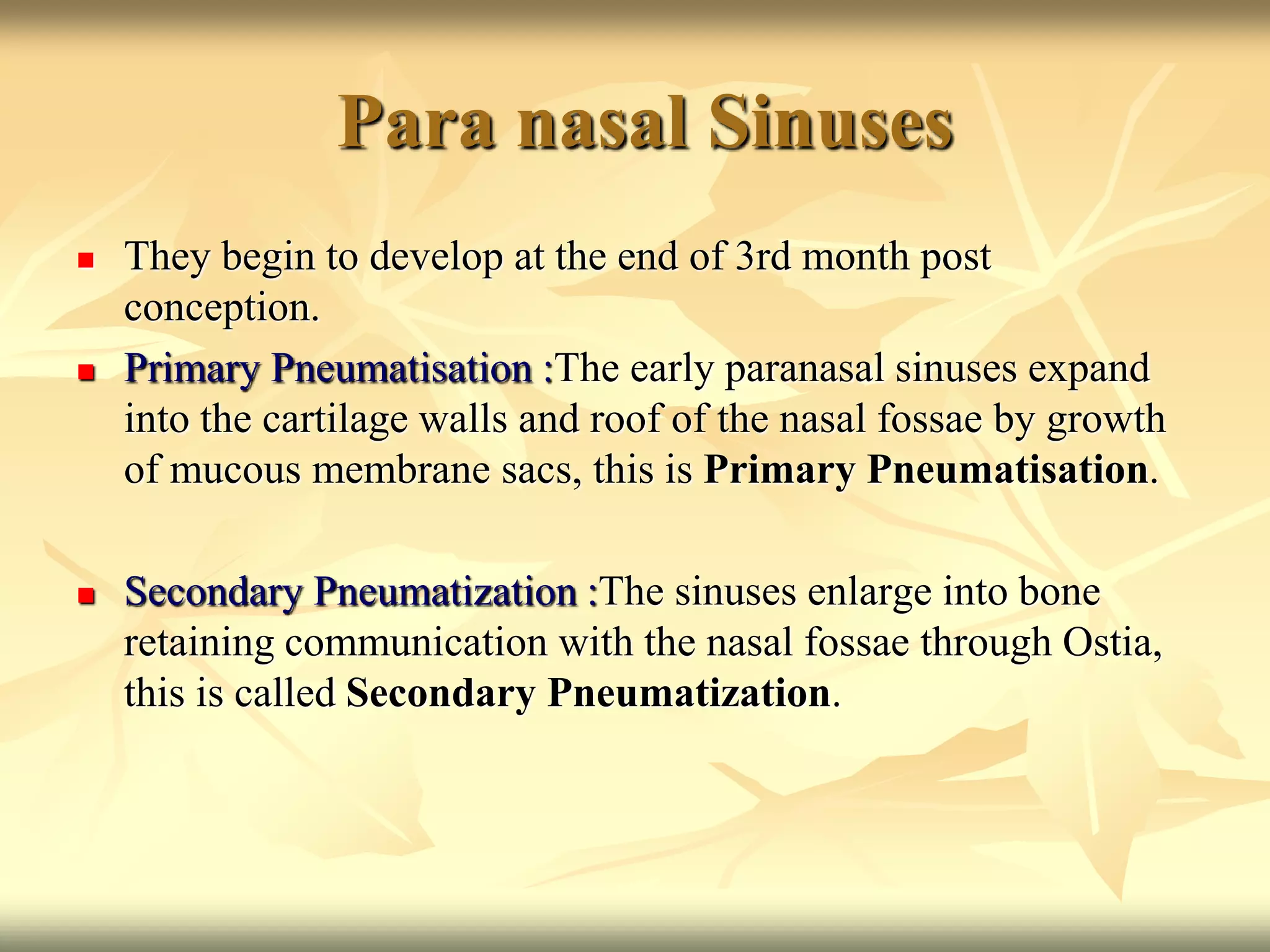 Para nasal Sinuses
 They begin to develop at the end of 3rd month post
conception.
 Primary Pneumatisation :The early paranasal sinuses expand
into the cartilage walls and roof of the nasal fossae by growth
of mucous membrane sacs, this is Primary Pneumatisation.
 Secondary Pneumatization :The sinuses enlarge into bone
retaining communication with the nasal fossae through Ostia,
this is called Secondary Pneumatization.
 