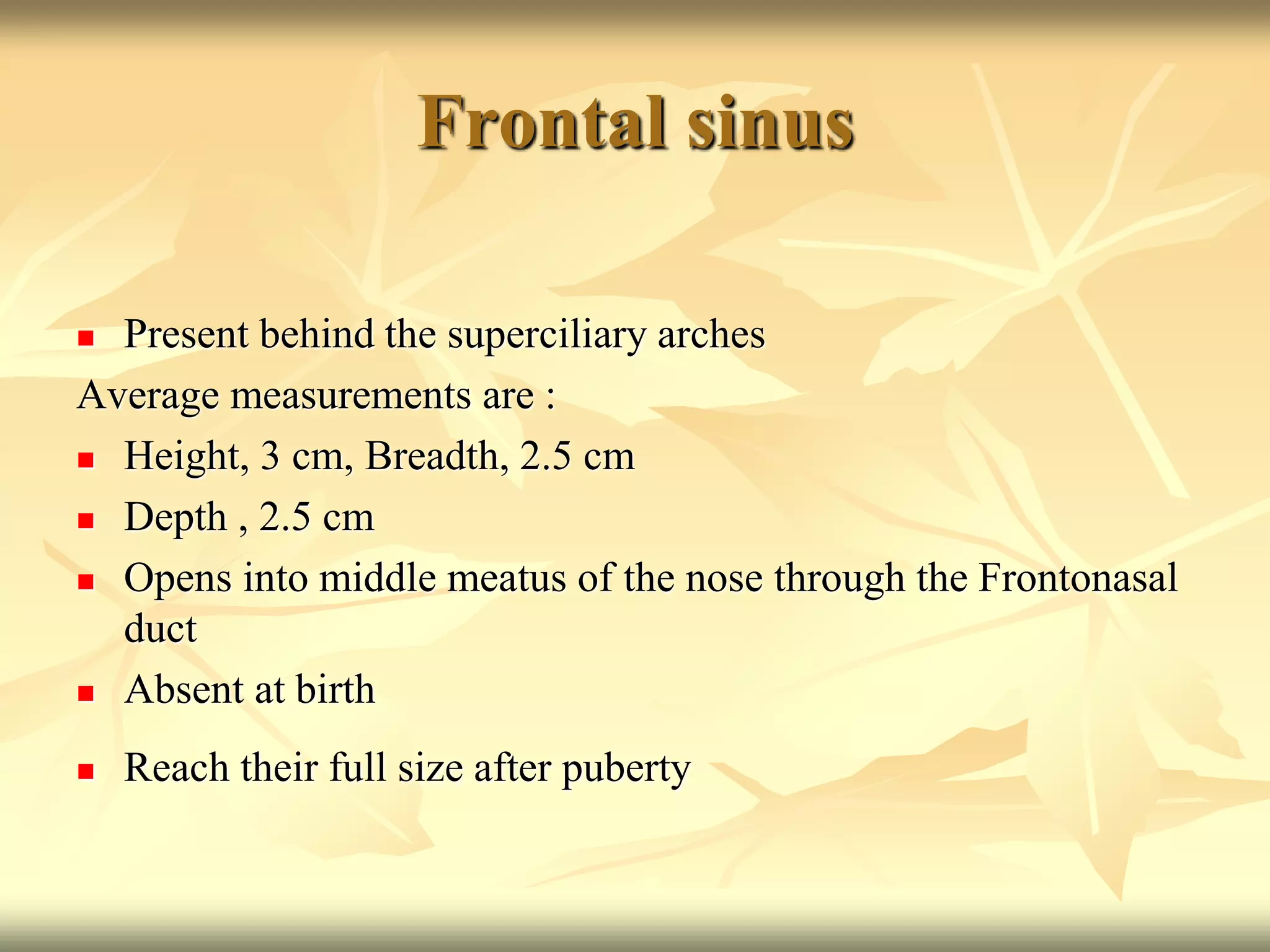 Frontal sinus
 Present behind the superciliary arches
Average measurements are :
 Height, 3 cm, Breadth, 2.5 cm
 Depth , 2.5 cm
 Opens into middle meatus of the nose through the Frontonasal
duct
 Absent at birth
 Reach their full size after puberty
 