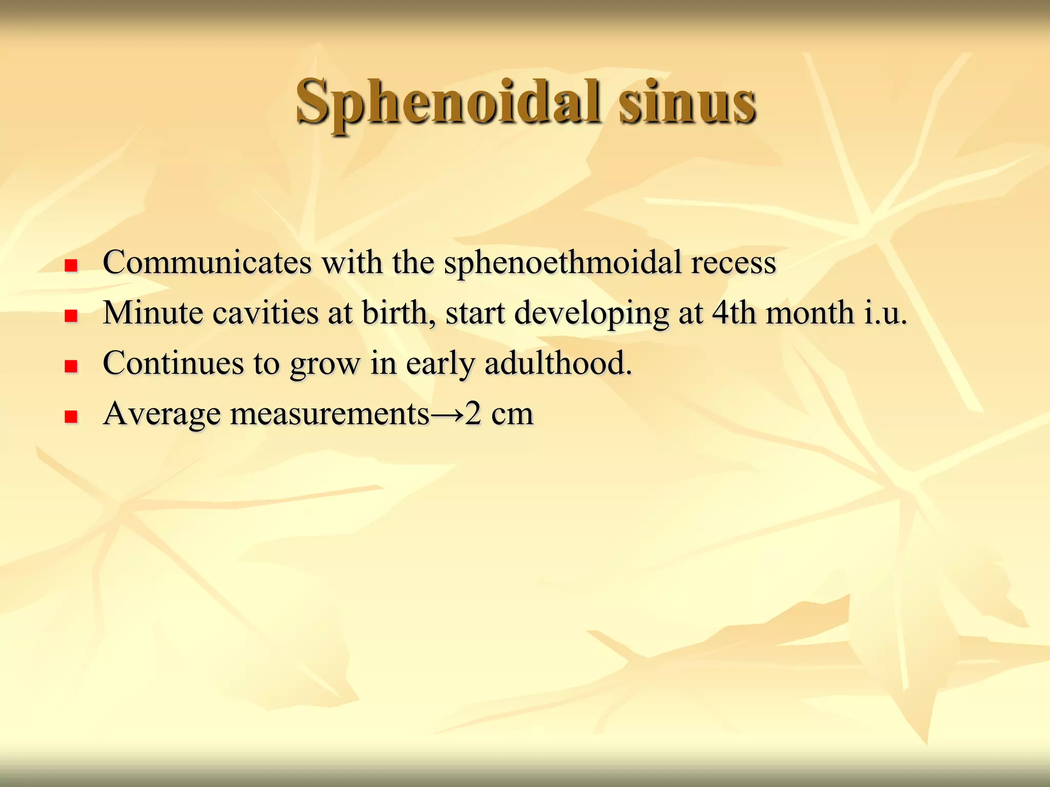Sphenoidal sinus
 Communicates with the sphenoethmoidal recess
 Minute cavities at birth, start developing at 4th month i.u.
 Continues to grow in early adulthood.
 Average measurements→2 cm
 