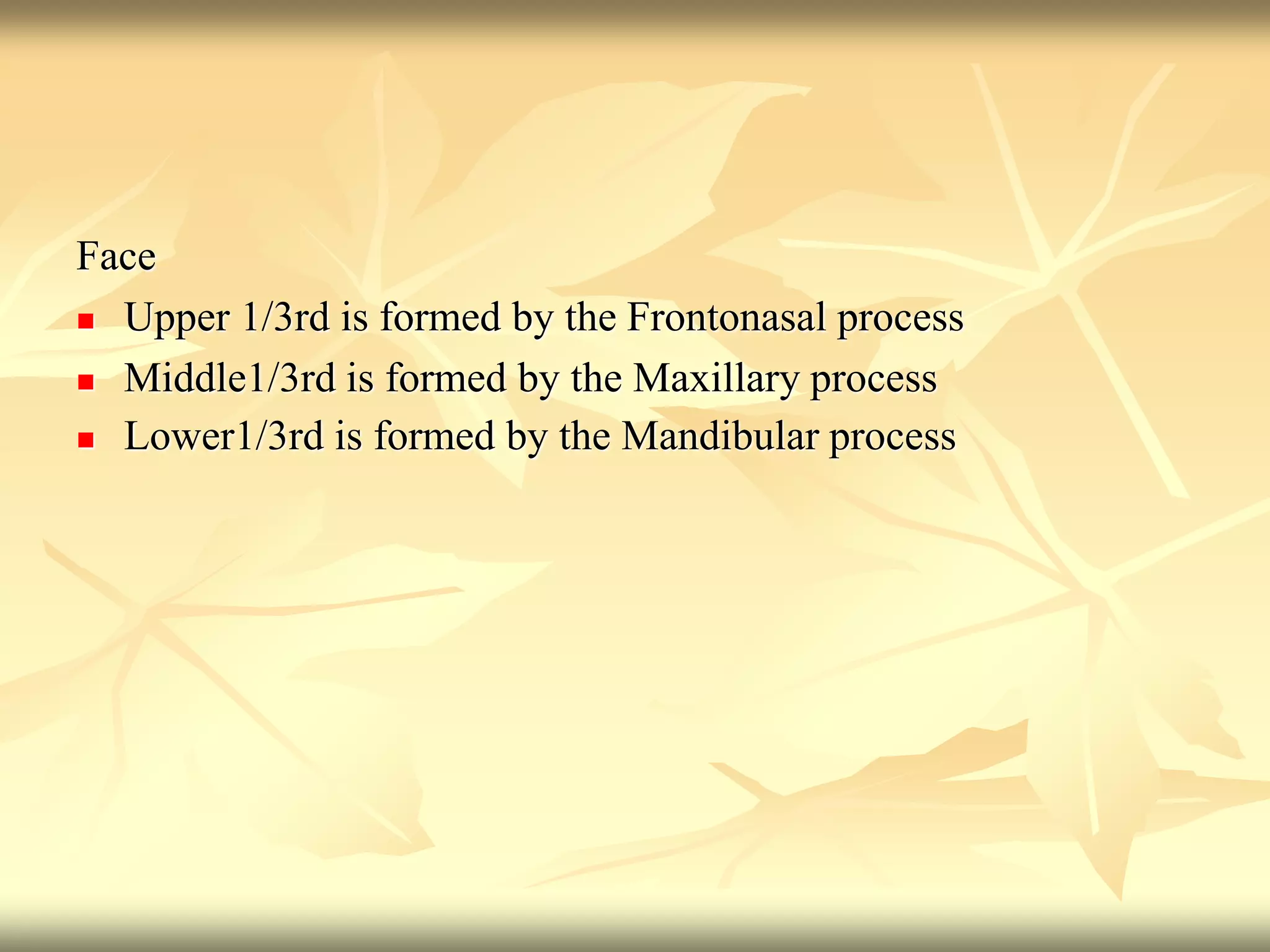 Face
 Upper 1/3rd is formed by the Frontonasal process
 Middle1/3rd is formed by the Maxillary process
 Lower1/3rd is formed by the Mandibular process
 