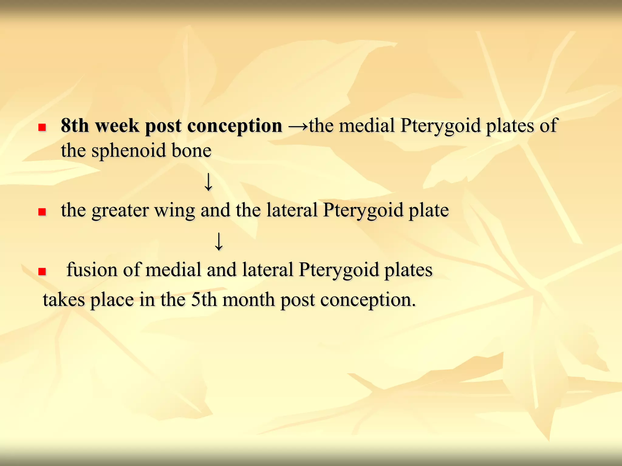  8th week post conception →the medial Pterygoid plates of
the sphenoid bone
↓
 the greater wing and the lateral Pterygoid plate
↓
 fusion of medial and lateral Pterygoid plates
takes place in the 5th month post conception.
 