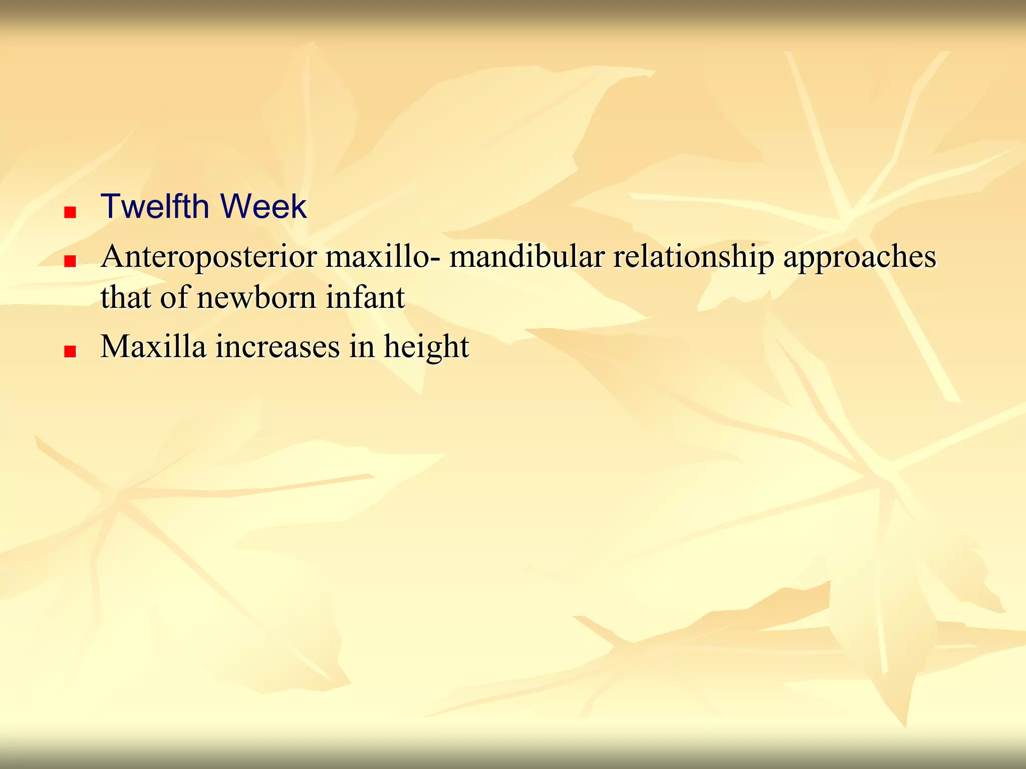 Twelfth Week
Anteroposterior maxillo- mandibular relationship approaches
that of newborn infant
Maxilla increases in height
 