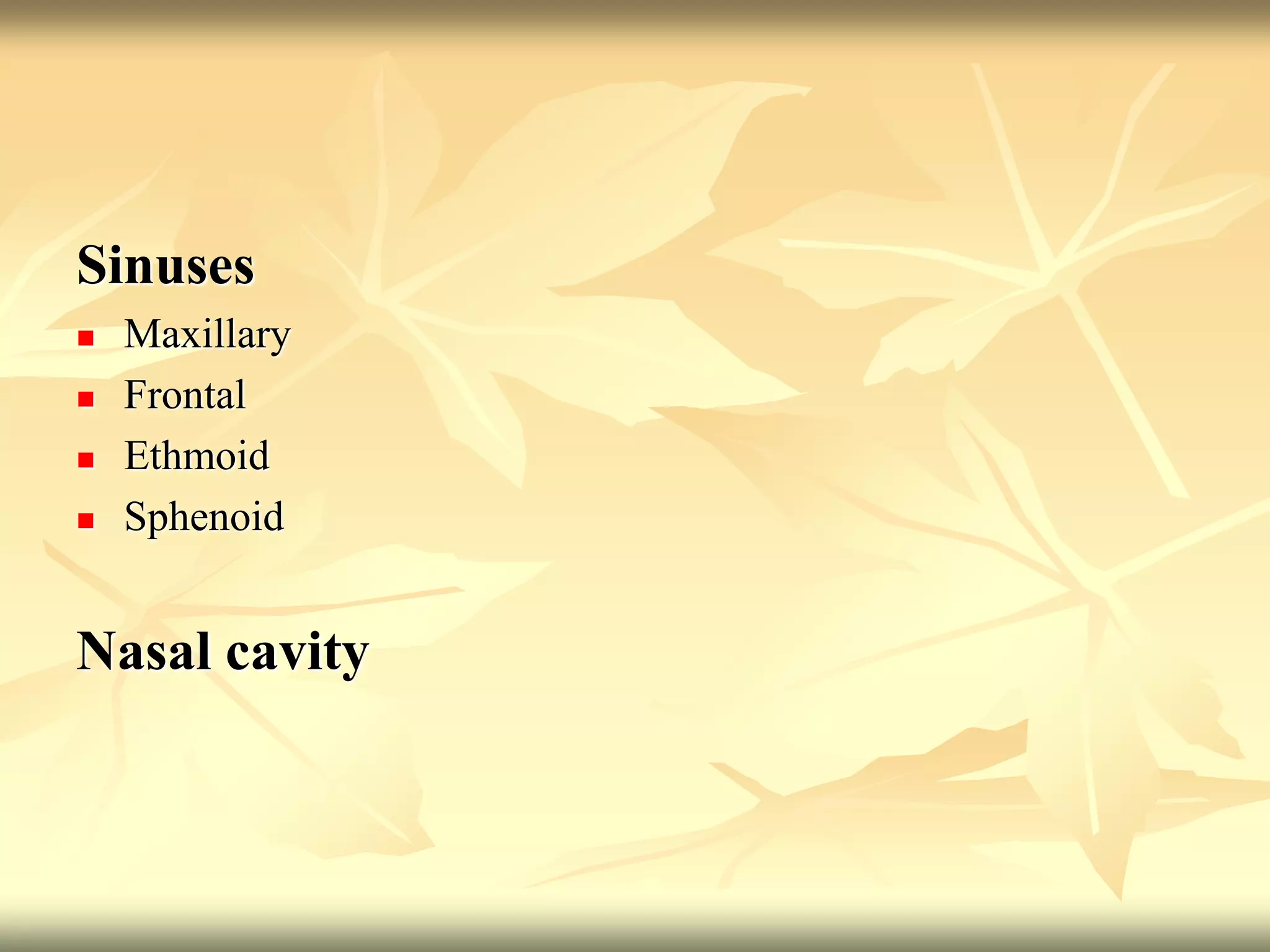Sinuses
 Maxillary
 Frontal
 Ethmoid
 Sphenoid
Nasal cavity
 