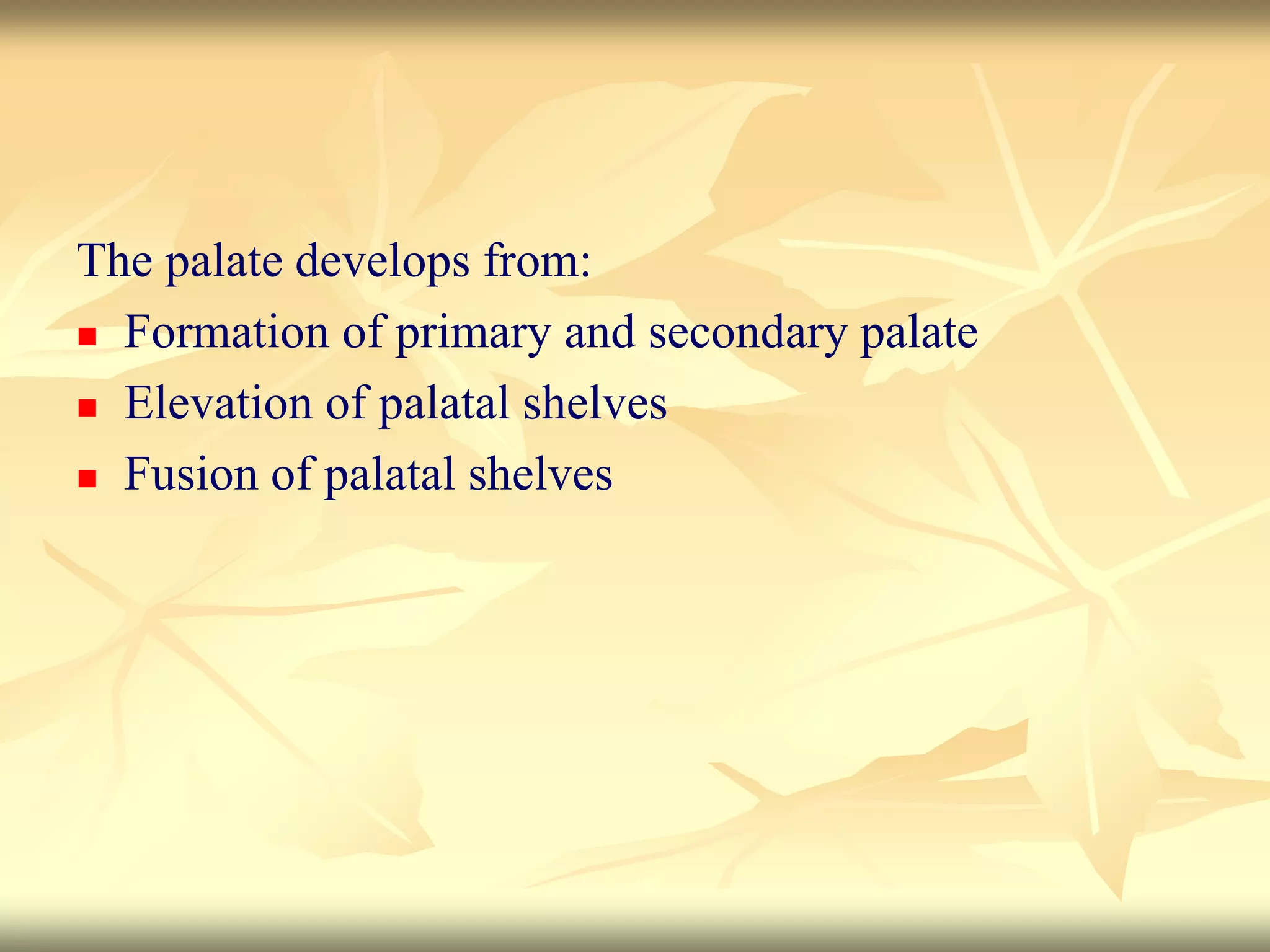 The palate develops from:
 Formation of primary and secondary palate
 Elevation of palatal shelves
 Fusion of palatal shelves
 
