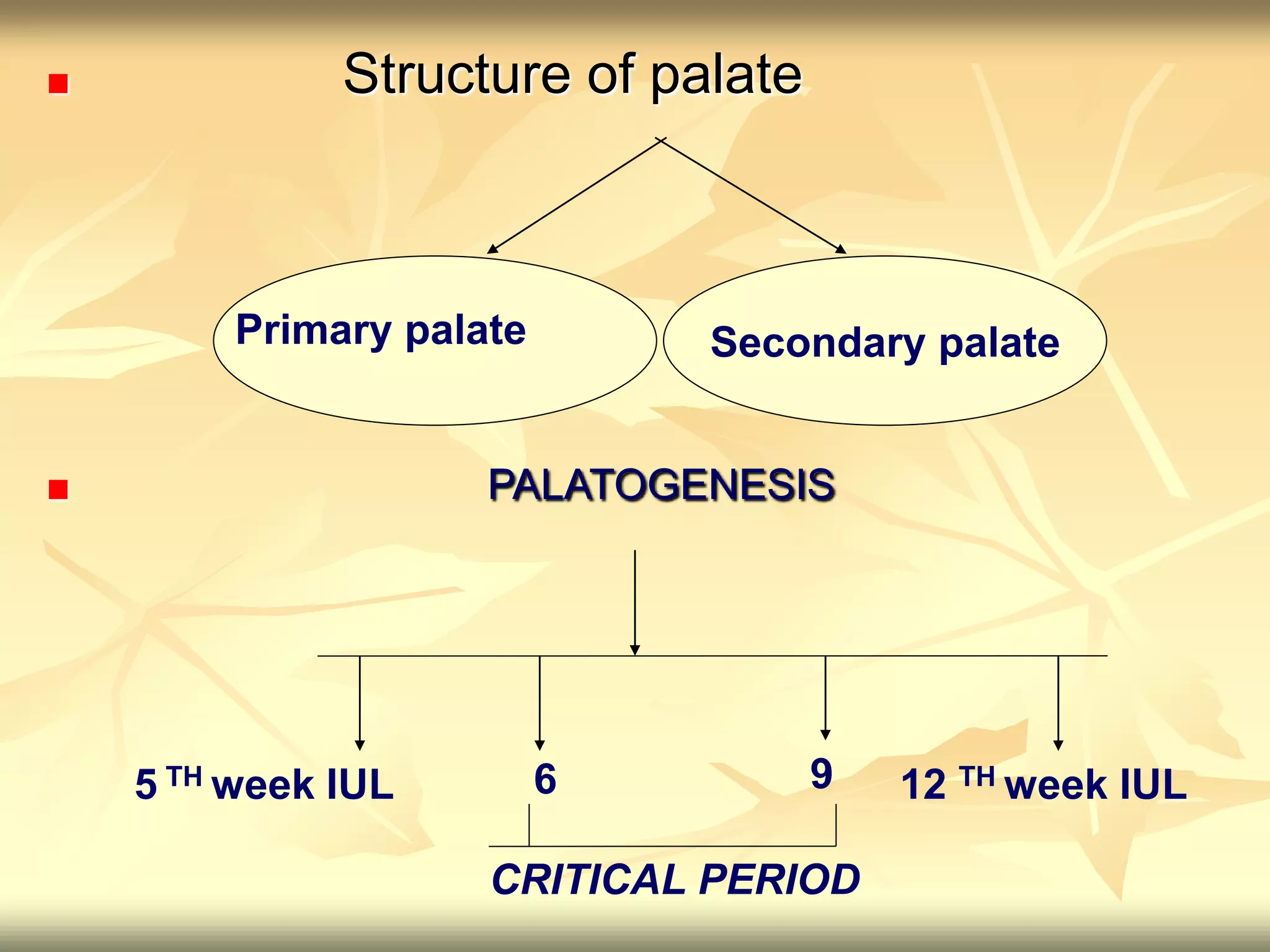 Structure of palate
PALATOGENESIS
Secondary palate
Primary palate
5 TH week IUL 12 TH week IUL
6 9
CRITICAL PERIOD
 