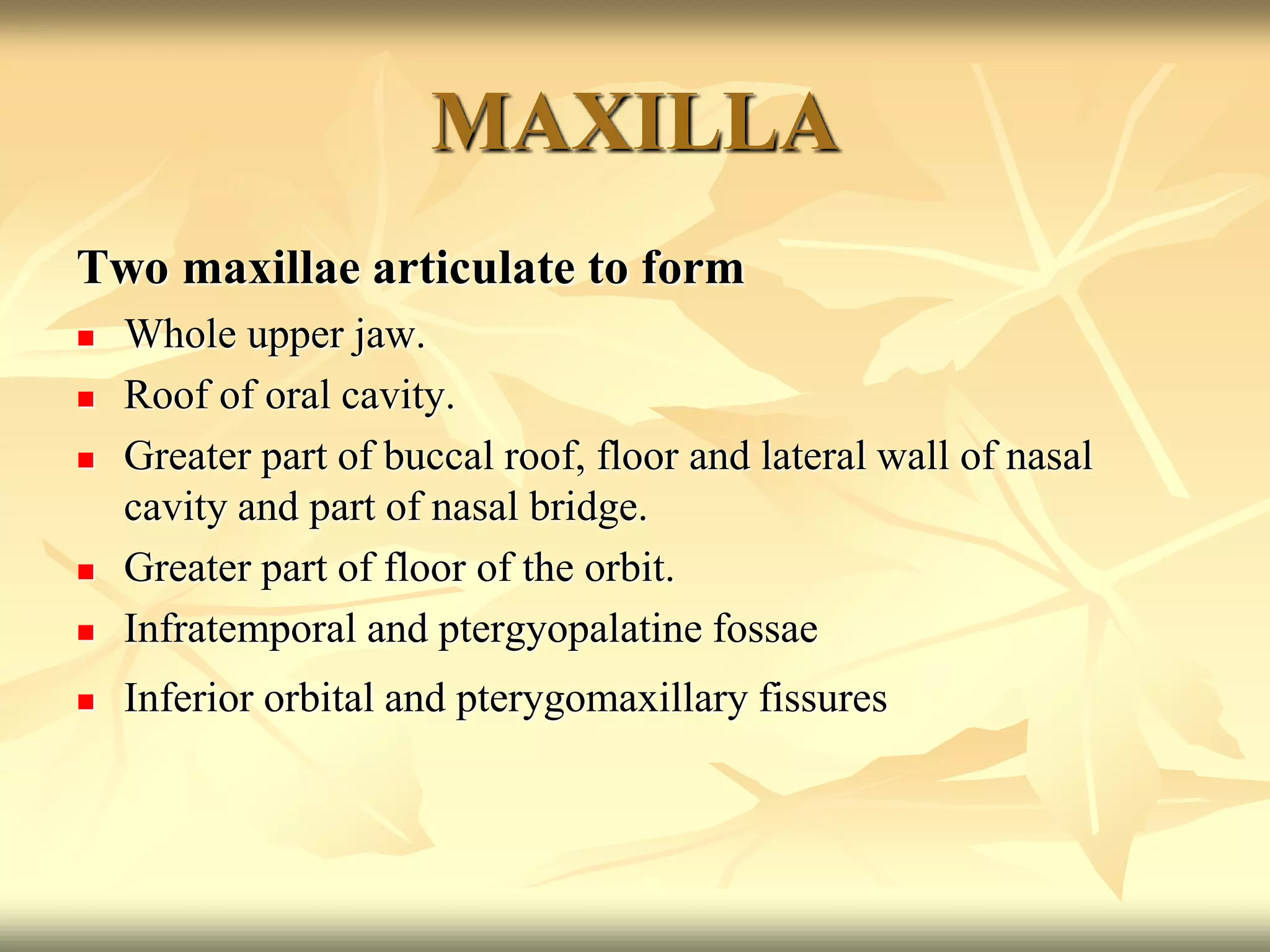 MAXILLA
Two maxillae articulate to form
 Whole upper jaw.
 Roof of oral cavity.
 Greater part of buccal roof, floor and lateral wall of nasal
cavity and part of nasal bridge.
 Greater part of floor of the orbit.
 Infratemporal and ptergyopalatine fossae
 Inferior orbital and pterygomaxillary fissures
 