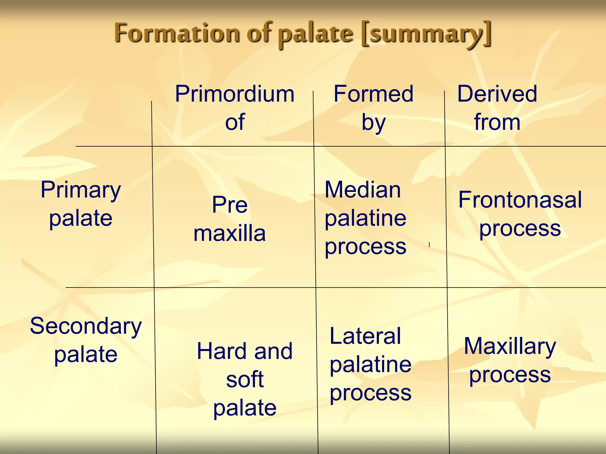 Formation of palate[summary]
Primordium
of
Formed
by
Derived
from
Primary
palate
Secondary
palate
Pre
maxilla
Hard and
soft
palate
Median
palatine
process
Lateral
palatine
process
Maxillary
process
Frontonasal
process
 