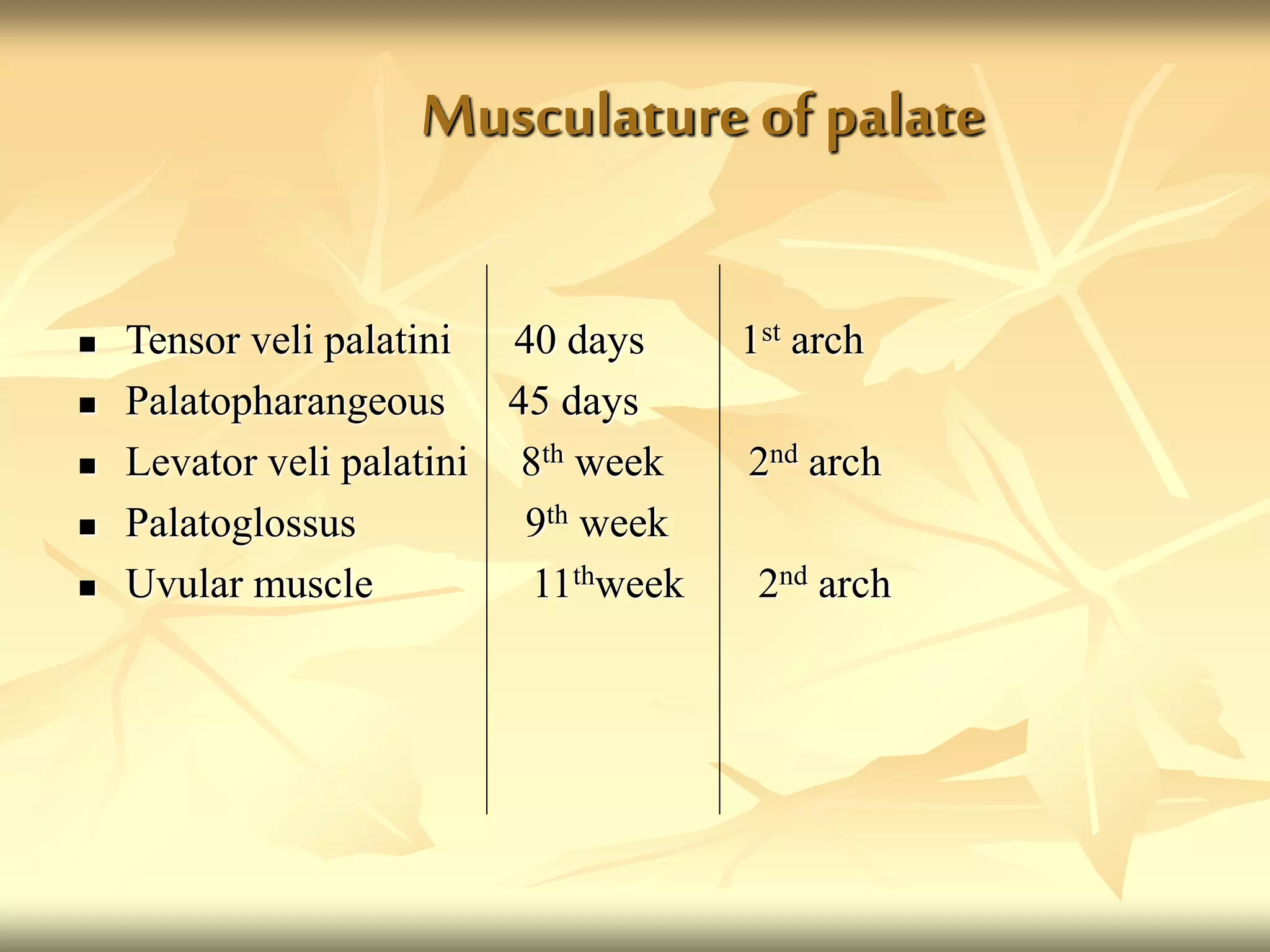 Musculature of palate
 Tensor veli palatini 40 days 1st arch
 Palatopharangeous 45 days
 Levator veli palatini 8th week 2nd arch
 Palatoglossus 9th week
 Uvular muscle 11thweek 2nd arch
 