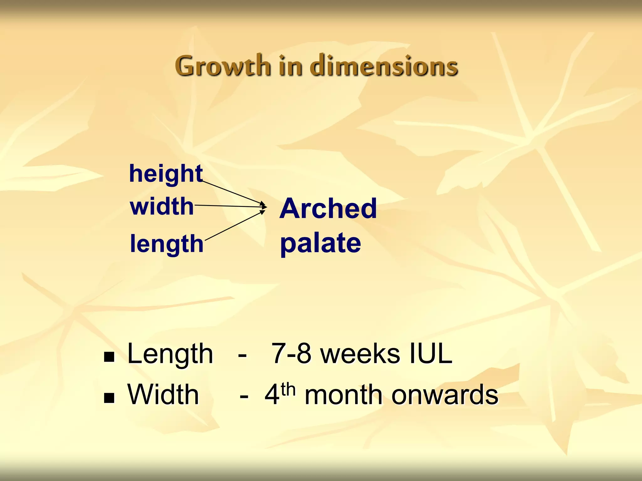 Growth in dimensions
 Length - 7-8 weeks IUL
 Width - 4th month onwards
height
width
length
Arched
palate
 