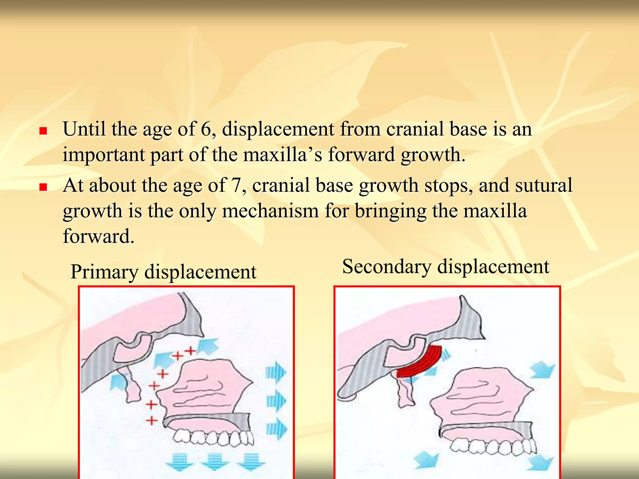  Until the age of 6, displacement from cranial base is an
important part of the maxilla’s forward growth.
 At about the age of 7, cranial base growth stops, and sutural
growth is the only mechanism for bringing the maxilla
forward.
Primary displacement Secondary displacement
 