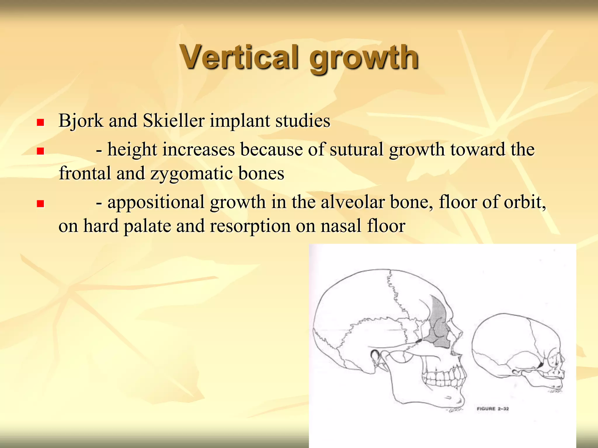 Vertical growth
 Bjork and Skieller implant studies
 - height increases because of sutural growth toward the
frontal and zygomatic bones
 - appositional growth in the alveolar bone, floor of orbit,
on hard palate and resorption on nasal floor
 