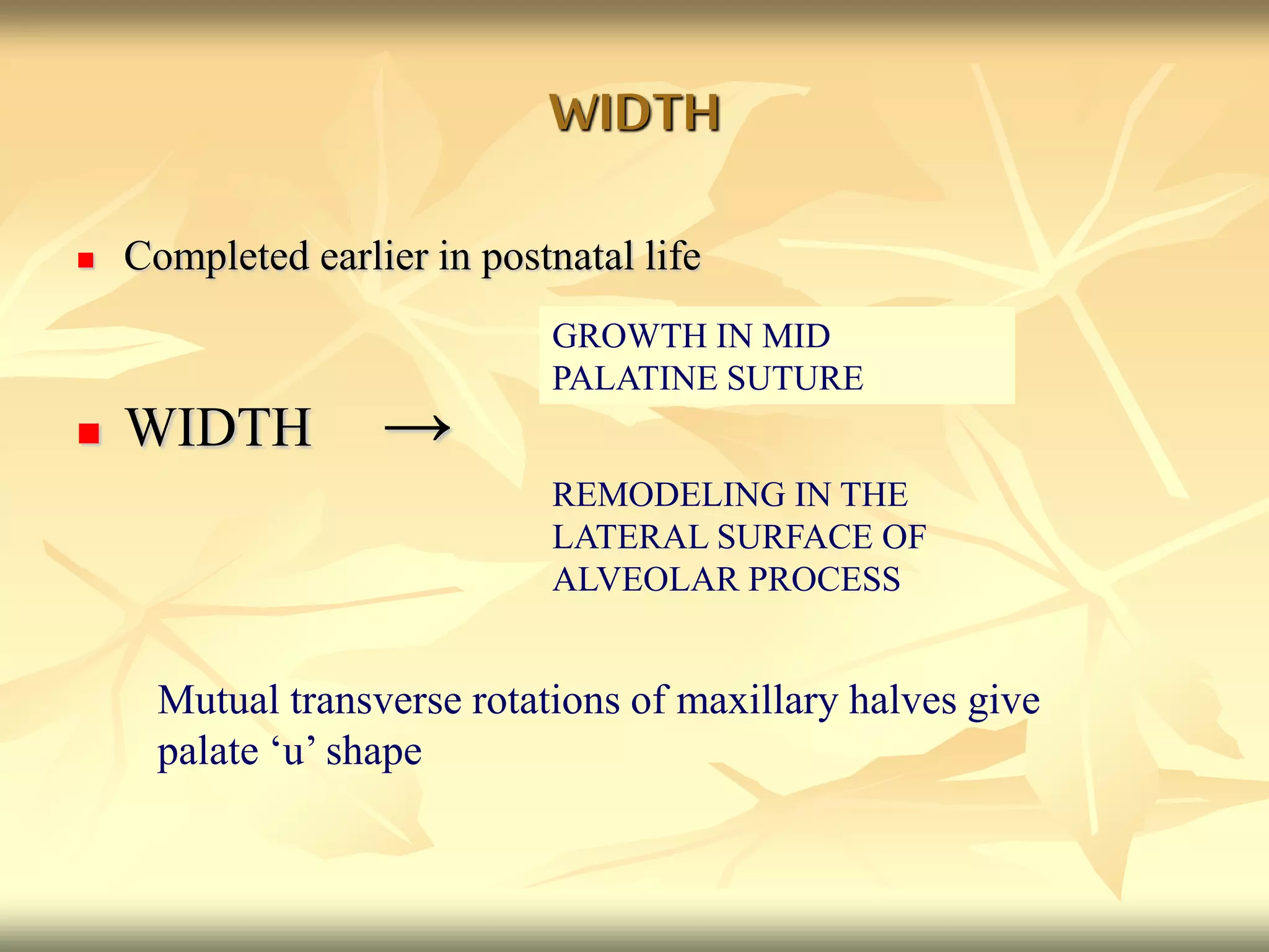 WIDTH
 Completed earlier in postnatal life
 WIDTH →
GROWTH IN MID
PALATINE SUTURE
REMODELING IN THE
LATERAL SURFACE OF
ALVEOLAR PROCESS
Mutual transverse rotations of maxillary halves give
palate ‘u’ shape
 