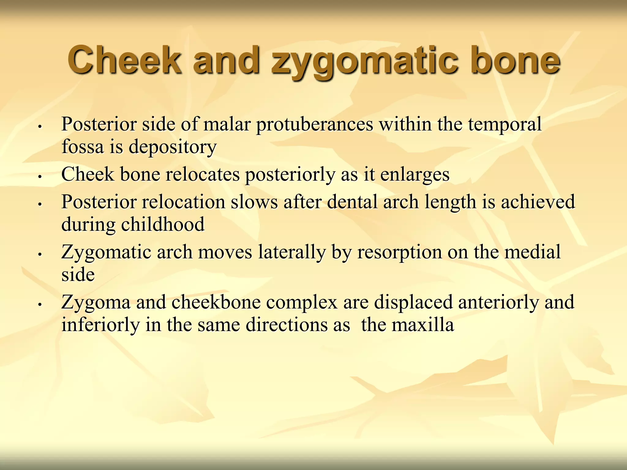 Cheek and zygomatic bone
• Posterior side of malar protuberances within the temporal
fossa is depository
• Cheek bone relocates posteriorly as it enlarges
• Posterior relocation slows after dental arch length is achieved
during childhood
• Zygomatic arch moves laterally by resorption on the medial
side
• Zygoma and cheekbone complex are displaced anteriorly and
inferiorly in the same directions as the maxilla
 