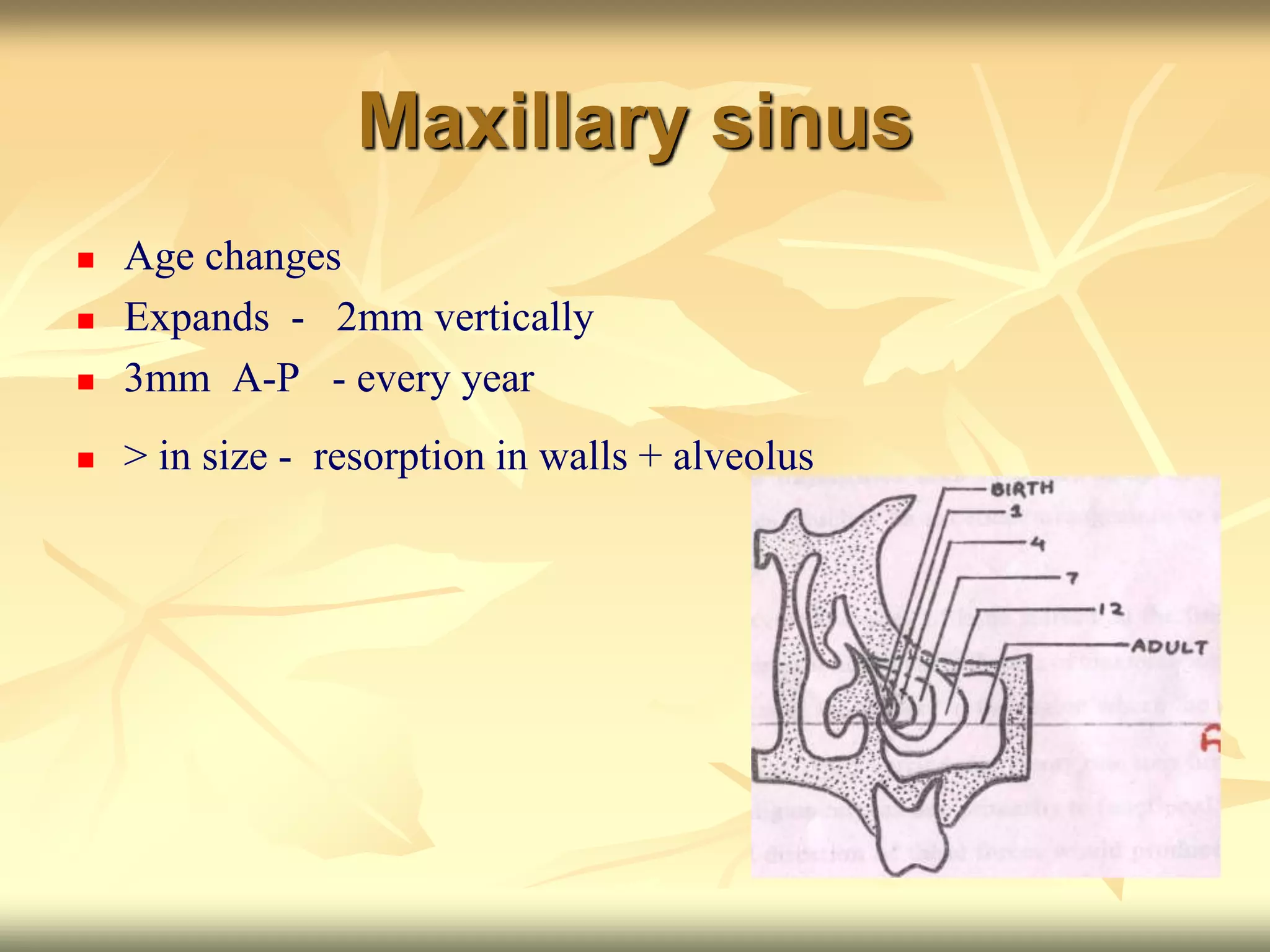 Maxillary sinus
 Age changes
 Expands - 2mm vertically
 3mm A-P - every year
 > in size - resorption in walls + alveolus
 