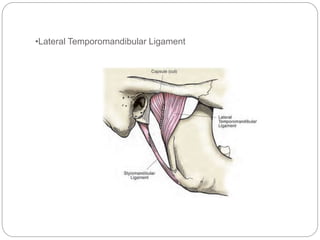 Tmj Development GROWTH AND DEVELOPMENT OF TEMPOROMANDIBULAR JOINT.pptx