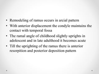 Growth and development of the mandible | PPTX