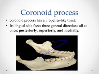 Coroonid Process Growth and development of the mandible | PPTX