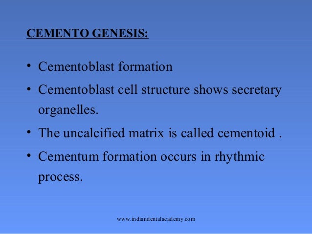 size vesicle matrix and courses tooth/ development of Growth oral surgery size vesicle matrix and courses tooth/ development of Growth oral surgery
