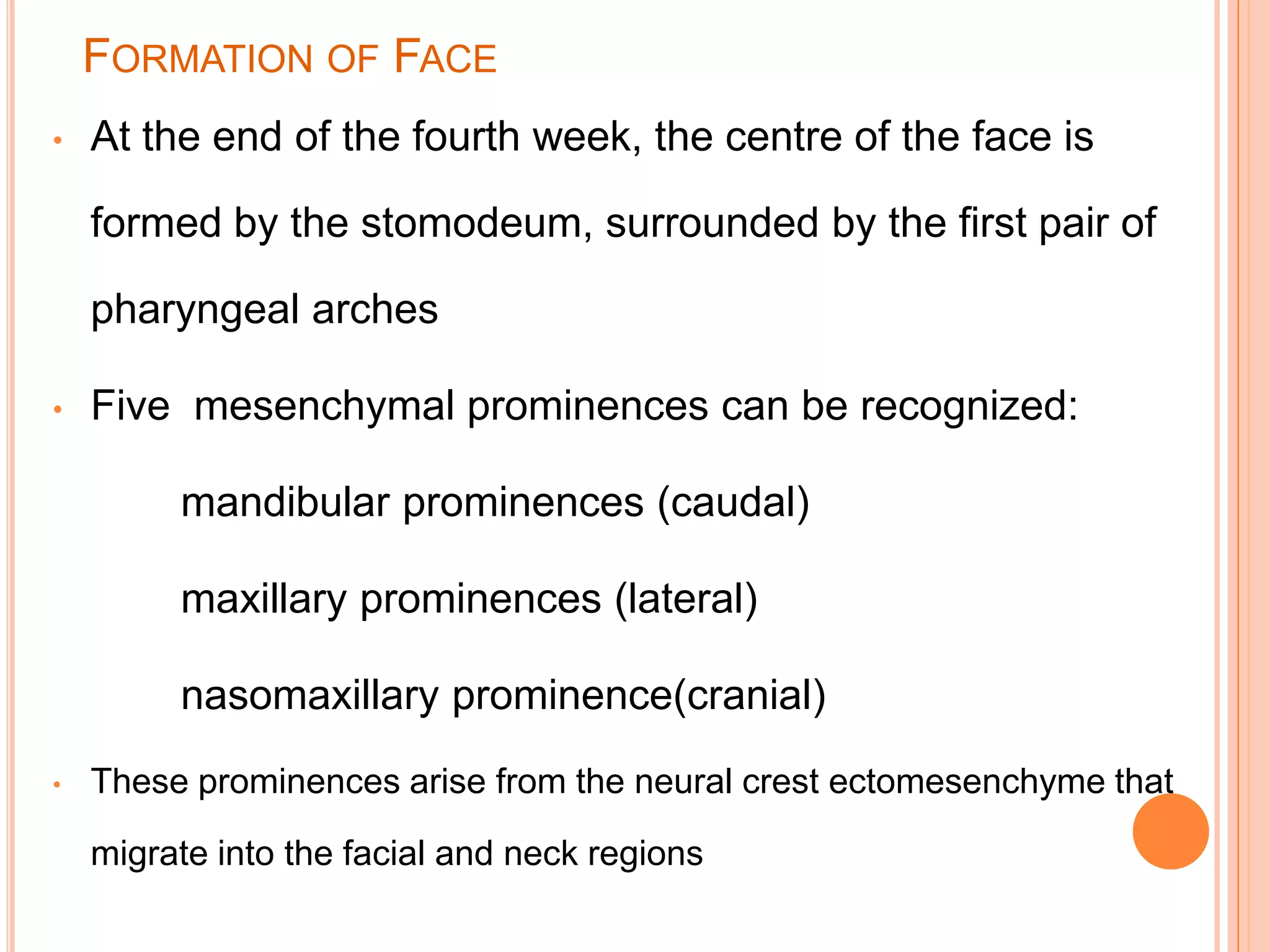 FORMATION OF FACE
•   At the end of the fourth week, the centre of the face is

    formed by the stomodeum, surrounded by the first pair of

    pharyngeal arches

•   Five mesenchymal prominences can be recognized:

         mandibular prominences (caudal)

         maxillary prominences (lateral)

         nasomaxillary prominence(cranial)
•   These prominences arise from the neural crest ectomesenchyme that

    migrate into the facial and neck regions
 