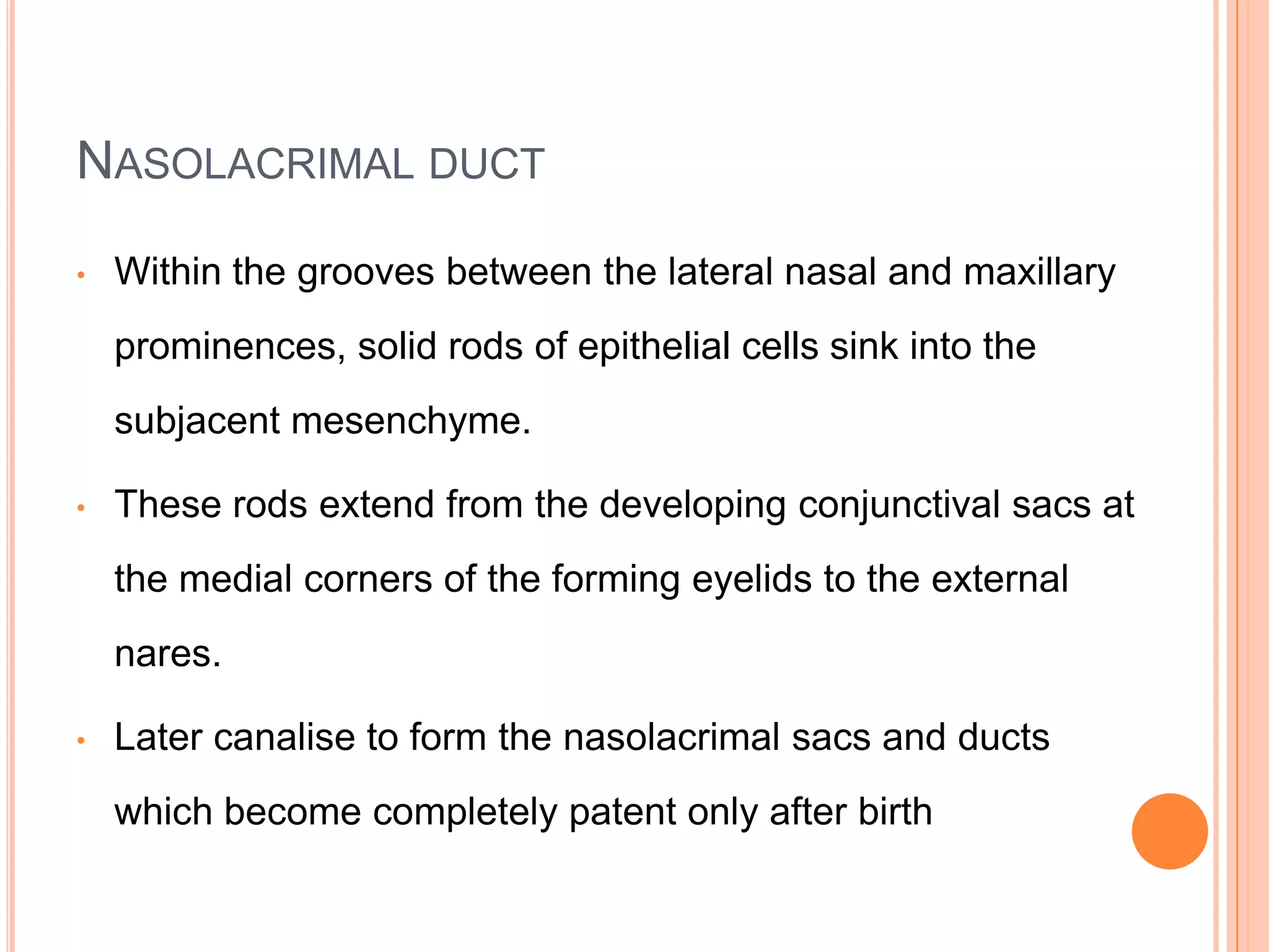 NASOLACRIMAL DUCT

•   Within the grooves between the lateral nasal and maxillary
    prominences, solid rods of epithelial cells sink into the
    subjacent mesenchyme.

•   These rods extend from the developing conjunctival sacs at
    the medial corners of the forming eyelids to the external
    nares.

•   Later canalise to form the nasolacrimal sacs and ducts
    which become completely patent only after birth
 