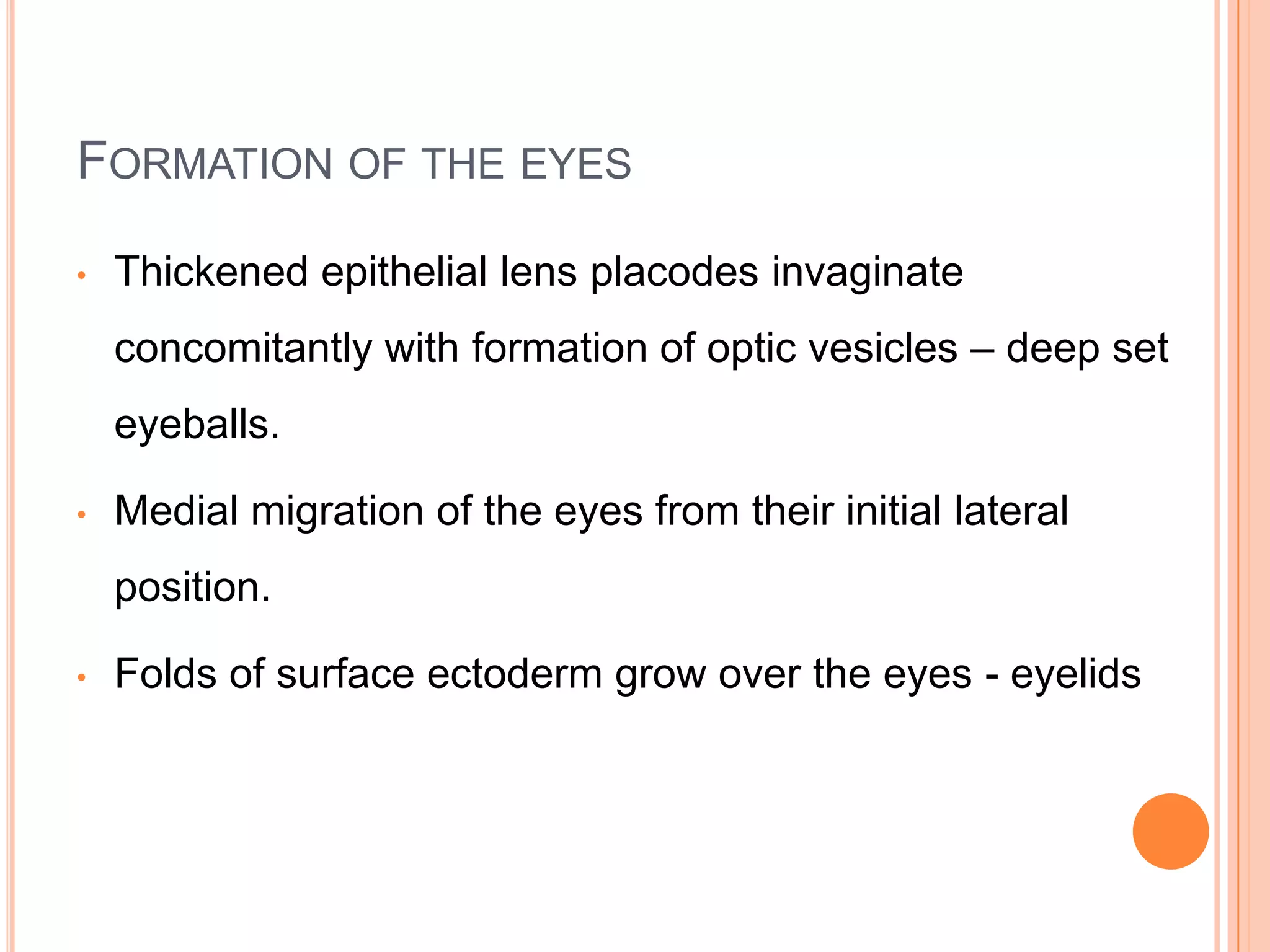 FORMATION OF THE EYES

•   Thickened epithelial lens placodes invaginate
    concomitantly with formation of optic vesicles – deep set
    eyeballs.

•   Medial migration of the eyes from their initial lateral
    position.

•   Folds of surface ectoderm grow over the eyes - eyelids
 