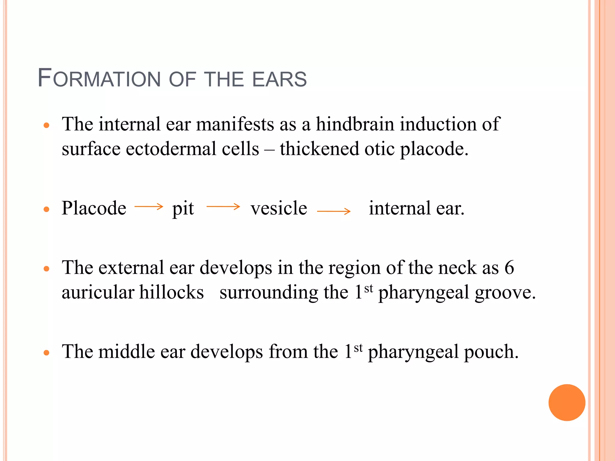 FORMATION OF THE EARS
   The internal ear manifests as a hindbrain induction of
    surface ectodermal cells – thickened otic placode.

   Placode      pit       vesicle       internal ear.

   The external ear develops in the region of the neck as 6
    auricular hillocks surrounding the 1st pharyngeal groove.

   The middle ear develops from the 1st pharyngeal pouch.
 