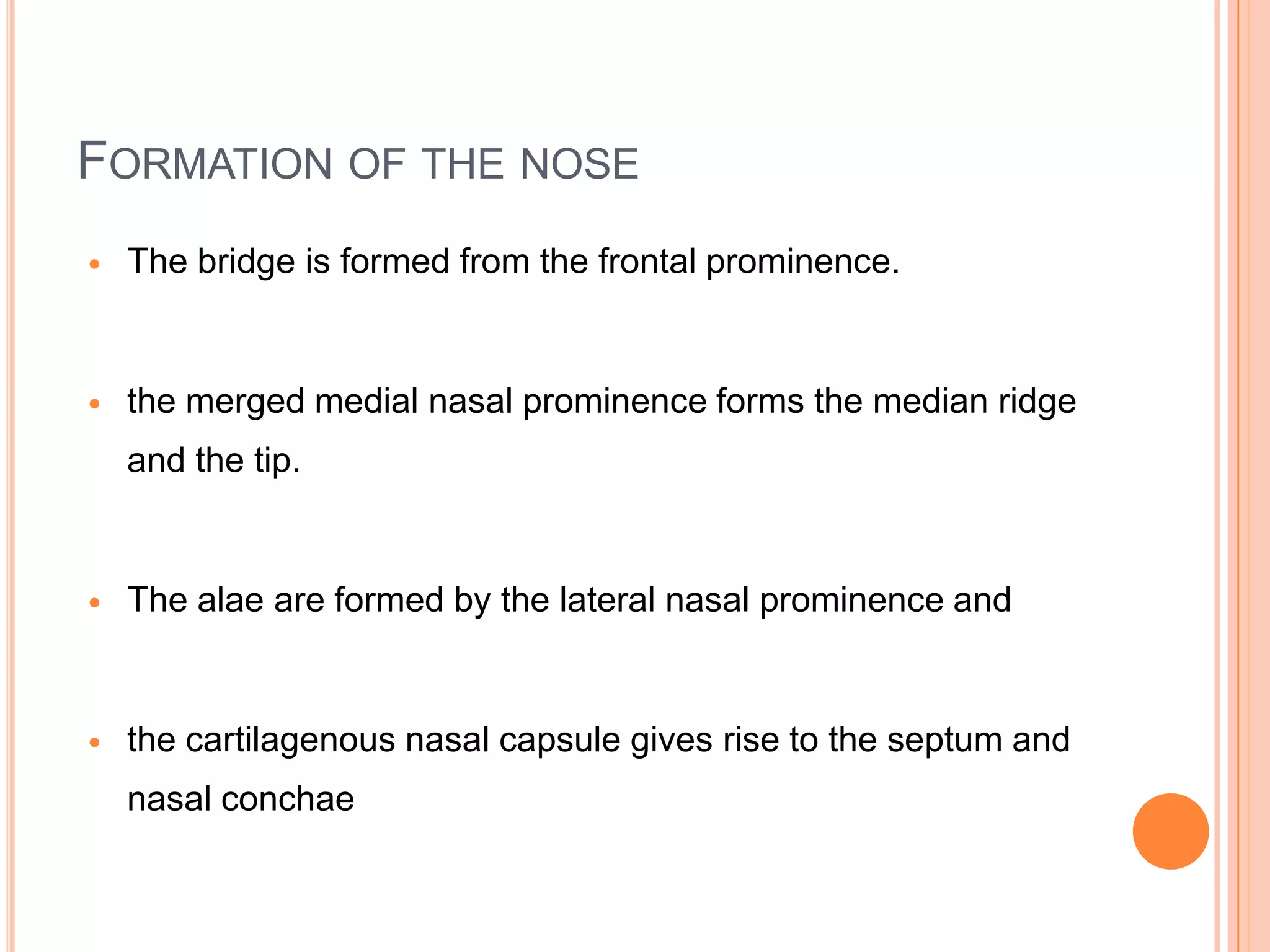 FORMATION OF THE NOSE
   The bridge is formed from the frontal prominence.


   the merged medial nasal prominence forms the median ridge
    and the tip.


   The alae are formed by the lateral nasal prominence and


   the cartilagenous nasal capsule gives rise to the septum and
    nasal conchae
 