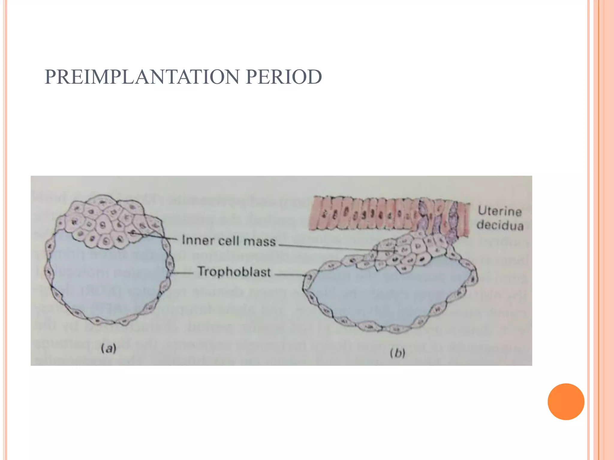 PREIMPLANTATION PERIOD
 