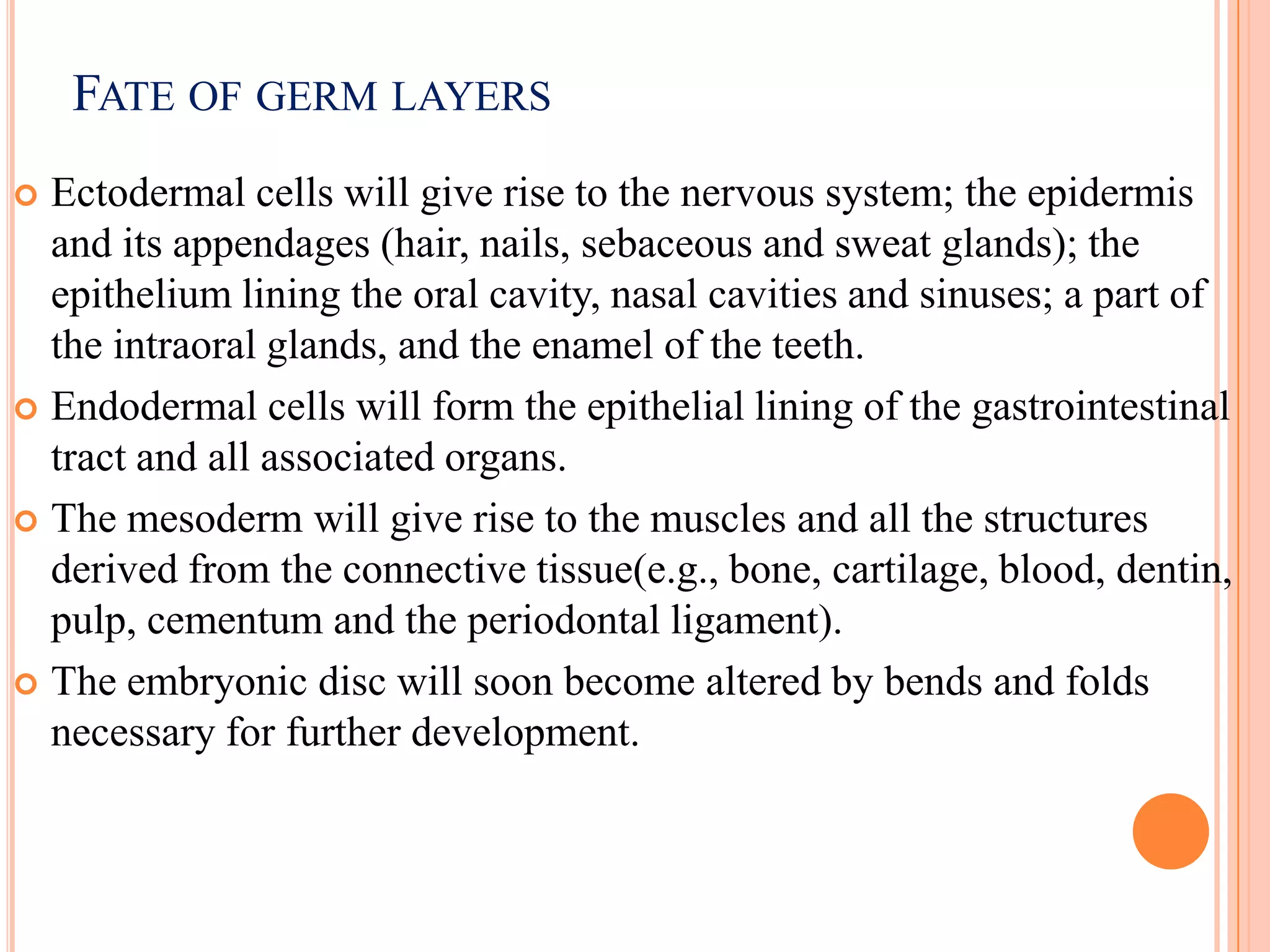 FATE OF GERM LAYERS
 Ectodermal cells will give rise to the nervous system; the epidermis
  and its appendages (hair, nails, sebaceous and sweat glands); the
  epithelium lining the oral cavity, nasal cavities and sinuses; a part of
  the intraoral glands, and the enamel of the teeth.
 Endodermal cells will form the epithelial lining of the gastrointestinal
  tract and all associated organs.
 The mesoderm will give rise to the muscles and all the structures
  derived from the connective tissue(e.g., bone, cartilage, blood, dentin,
  pulp, cementum and the periodontal ligament).
 The embryonic disc will soon become altered by bends and folds
  necessary for further development.
 