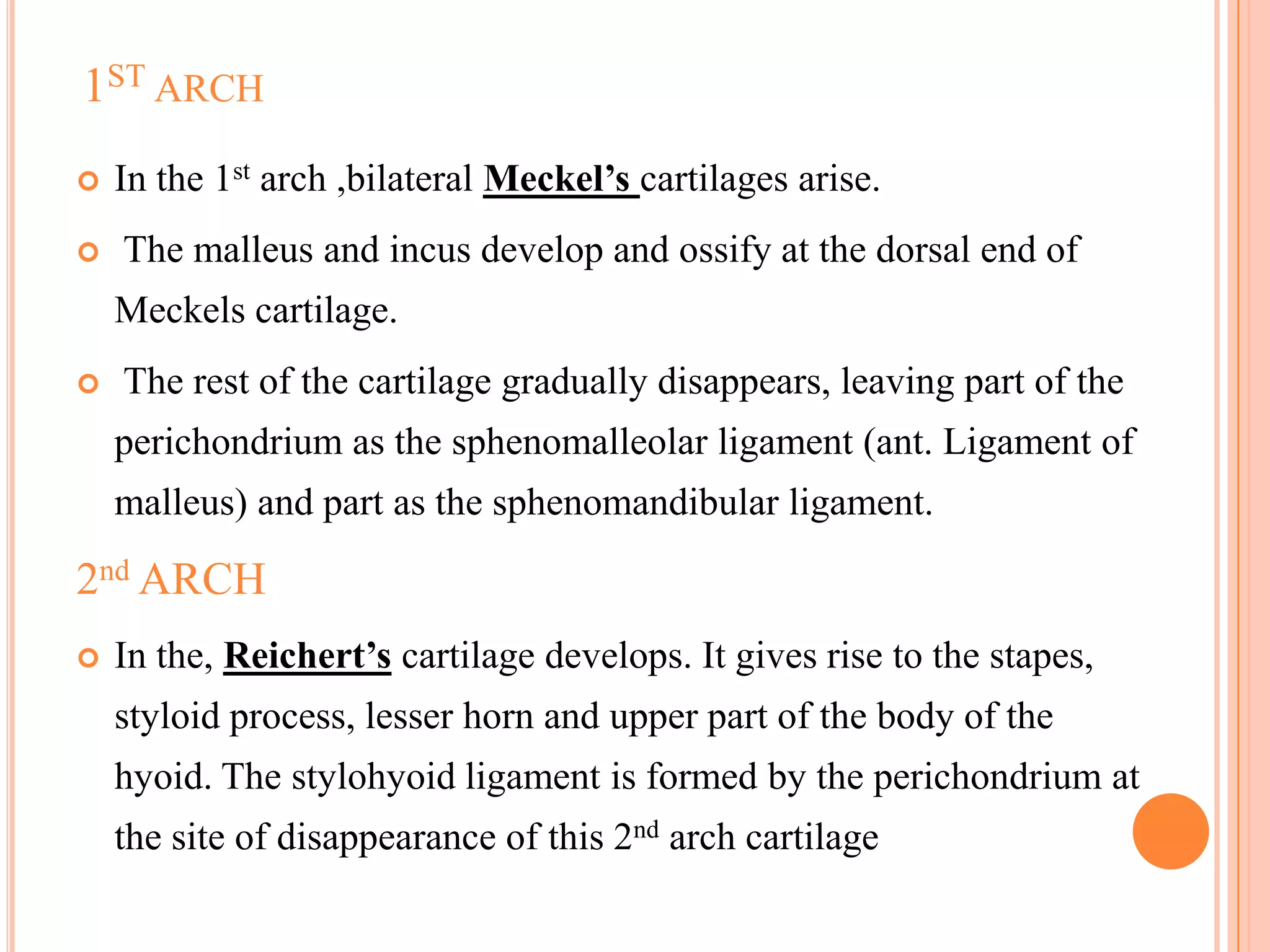 1ST ARCH
   In the 1st arch ,bilateral Meckel’s cartilages arise.
   The malleus and incus develop and ossify at the dorsal end of
    Meckels cartilage.
   The rest of the cartilage gradually disappears, leaving part of the
    perichondrium as the sphenomalleolar ligament (ant. Ligament of
    malleus) and part as the sphenomandibular ligament.

2nd ARCH
   In the, Reichert’s cartilage develops. It gives rise to the stapes,
    styloid process, lesser horn and upper part of the body of the
    hyoid. The stylohyoid ligament is formed by the perichondrium at
    the site of disappearance of this 2nd arch cartilage
 