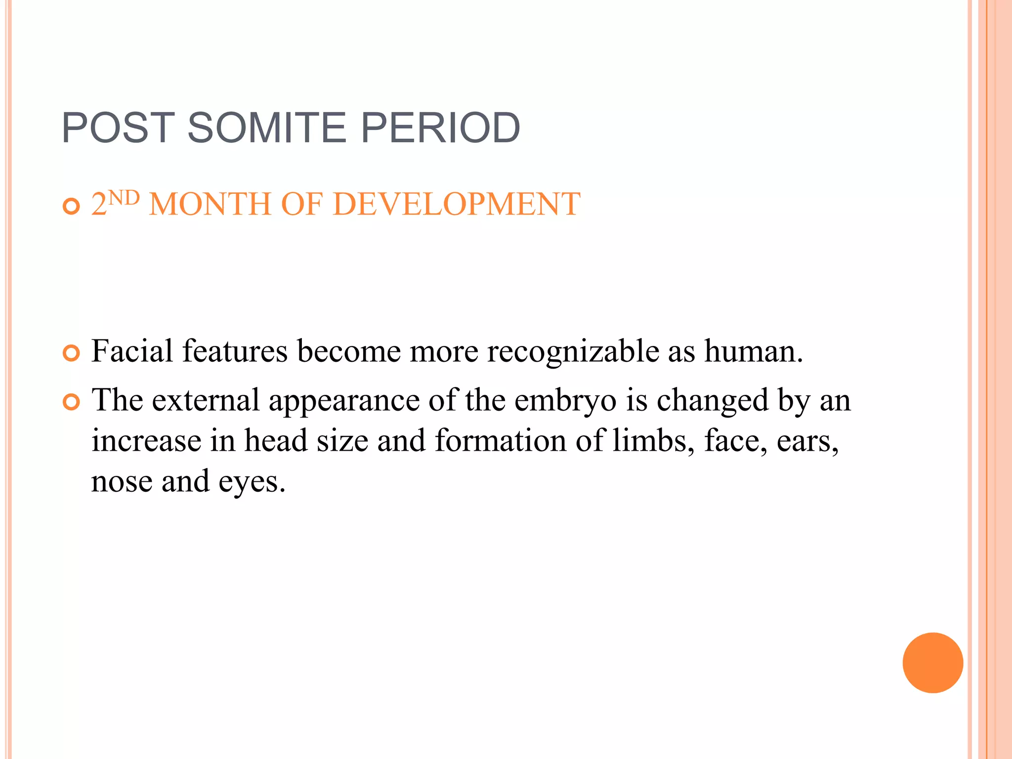POST SOMITE PERIOD
   2ND MONTH OF DEVELOPMENT



 Facial features become more recognizable as human.
 The external appearance of the embryo is changed by an
  increase in head size and formation of limbs, face, ears,
  nose and eyes.
 